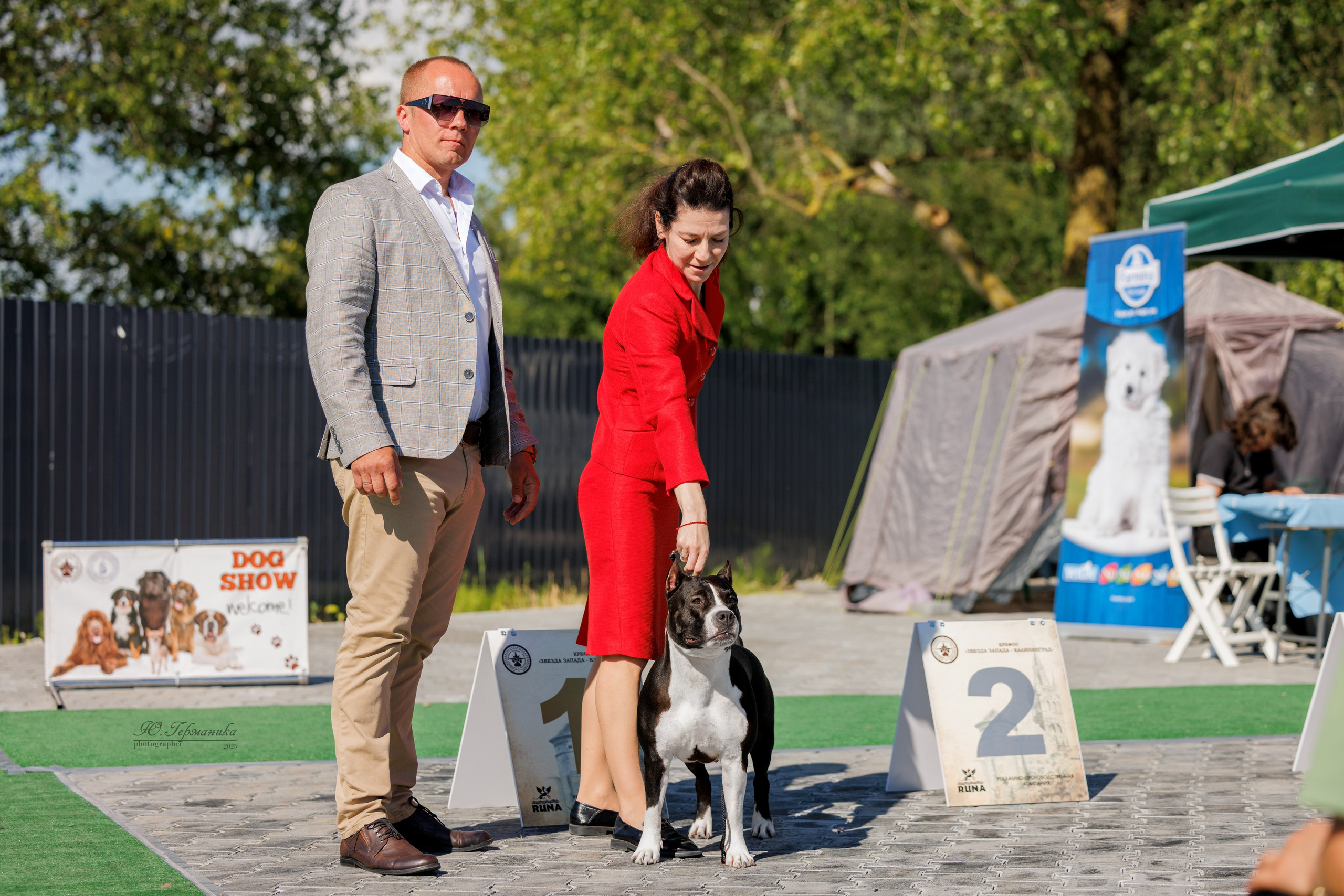 Калининград 25-27.07 Волгоград 1-3.08 2025. Фотограф-анималист Юлия Германика