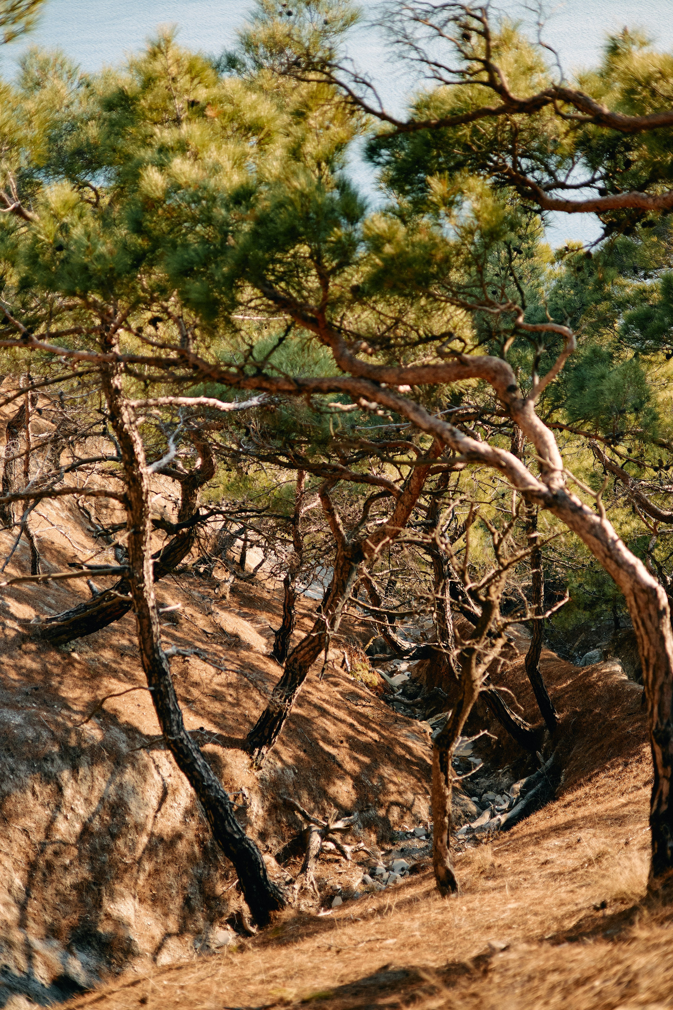 Юг России. Профессиональный Фотограф во Владимире, в Москве и в Суздале — Полина Романычева