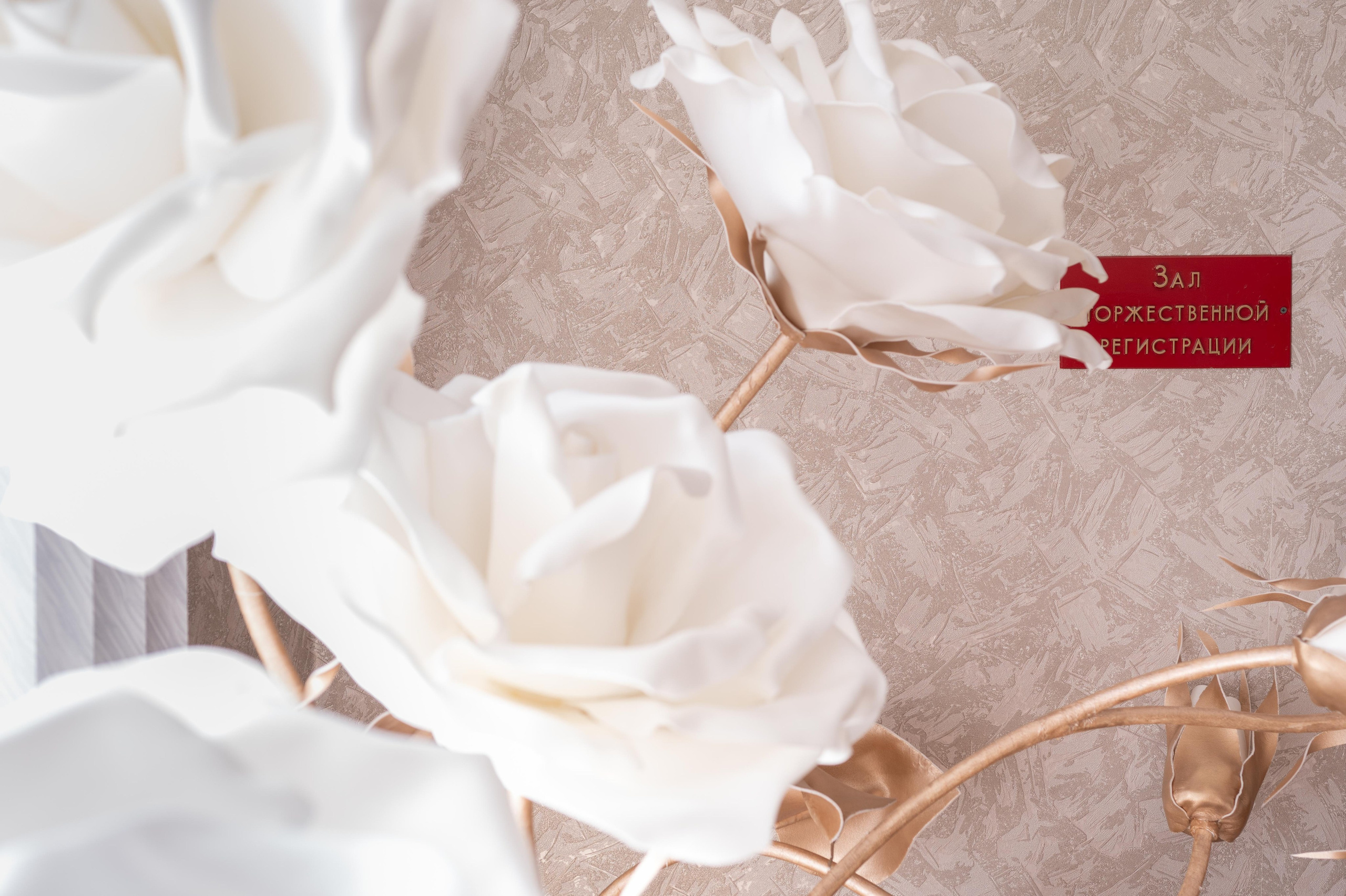 Алексей и Алина. Свадебный, портретный, коммерческий, предметный фотограф в Ставрополе Иван Белашов