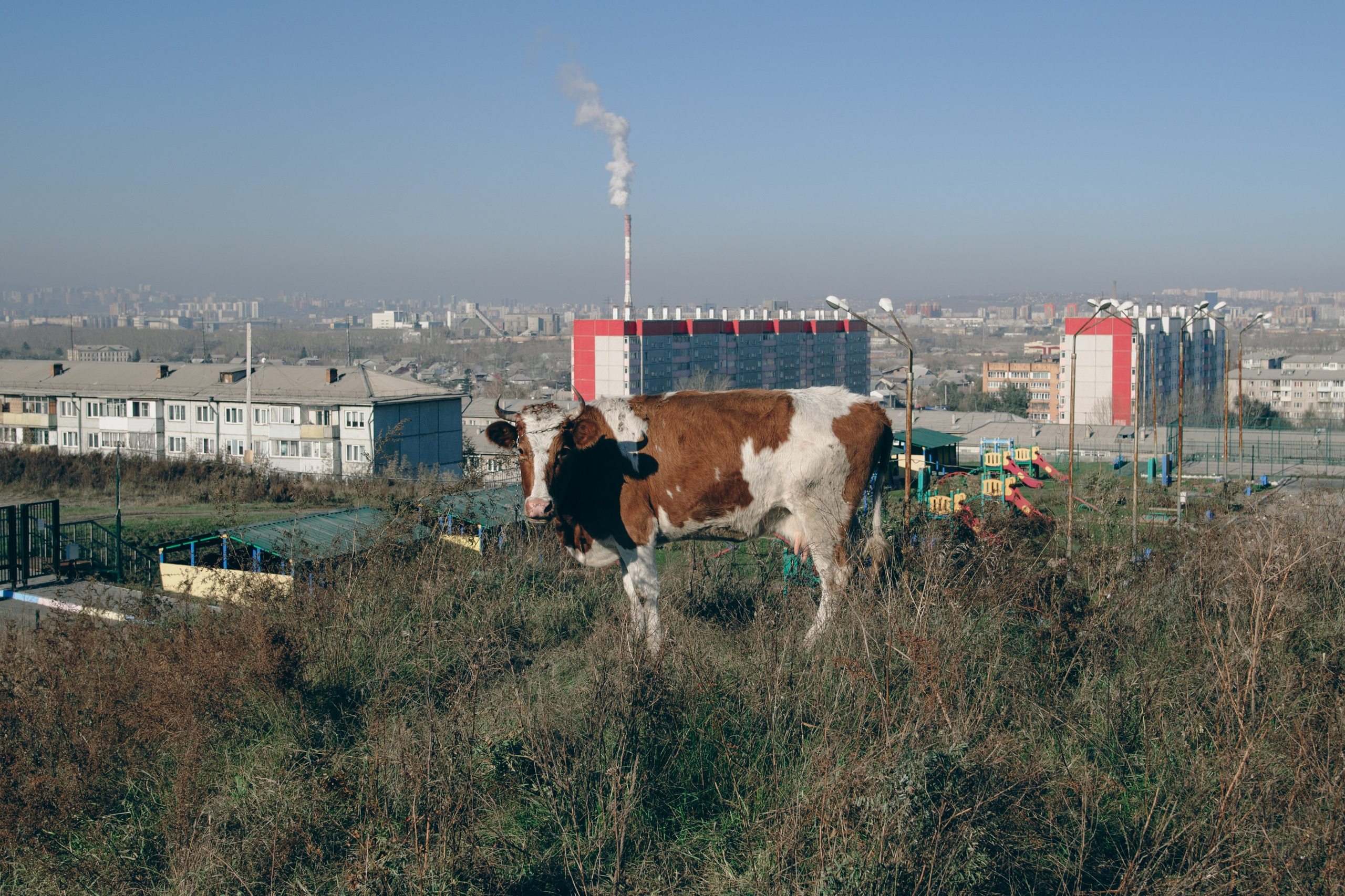 Гуляю то тут то там. Photographer Alik Melkonyan