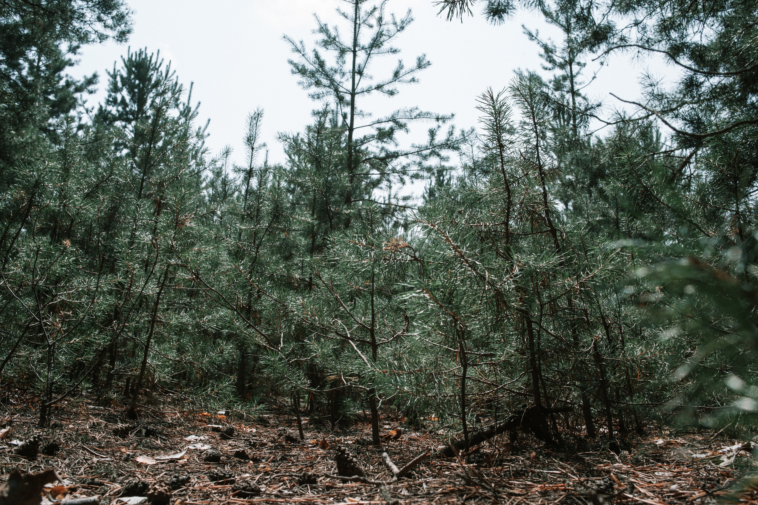 Земля. Фотограф Старый Оскол Мавлыга Мария