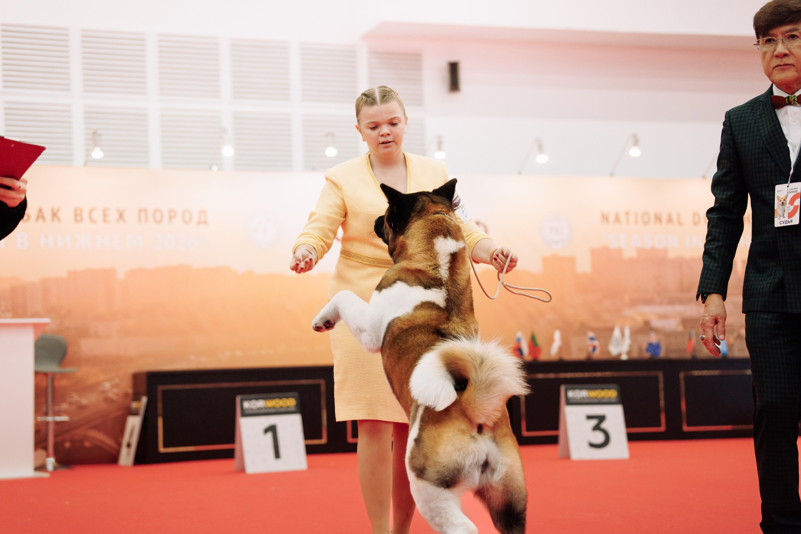 3-4.10.2026 — Нижний Новгород. Фотограф-анималист Саша Вязьмина