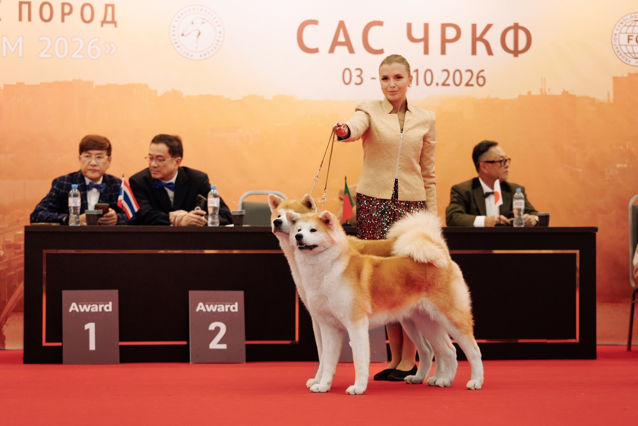 3-4.10.2026 — Нижний Новгород. Фотограф-анималист Саша Вязьмина