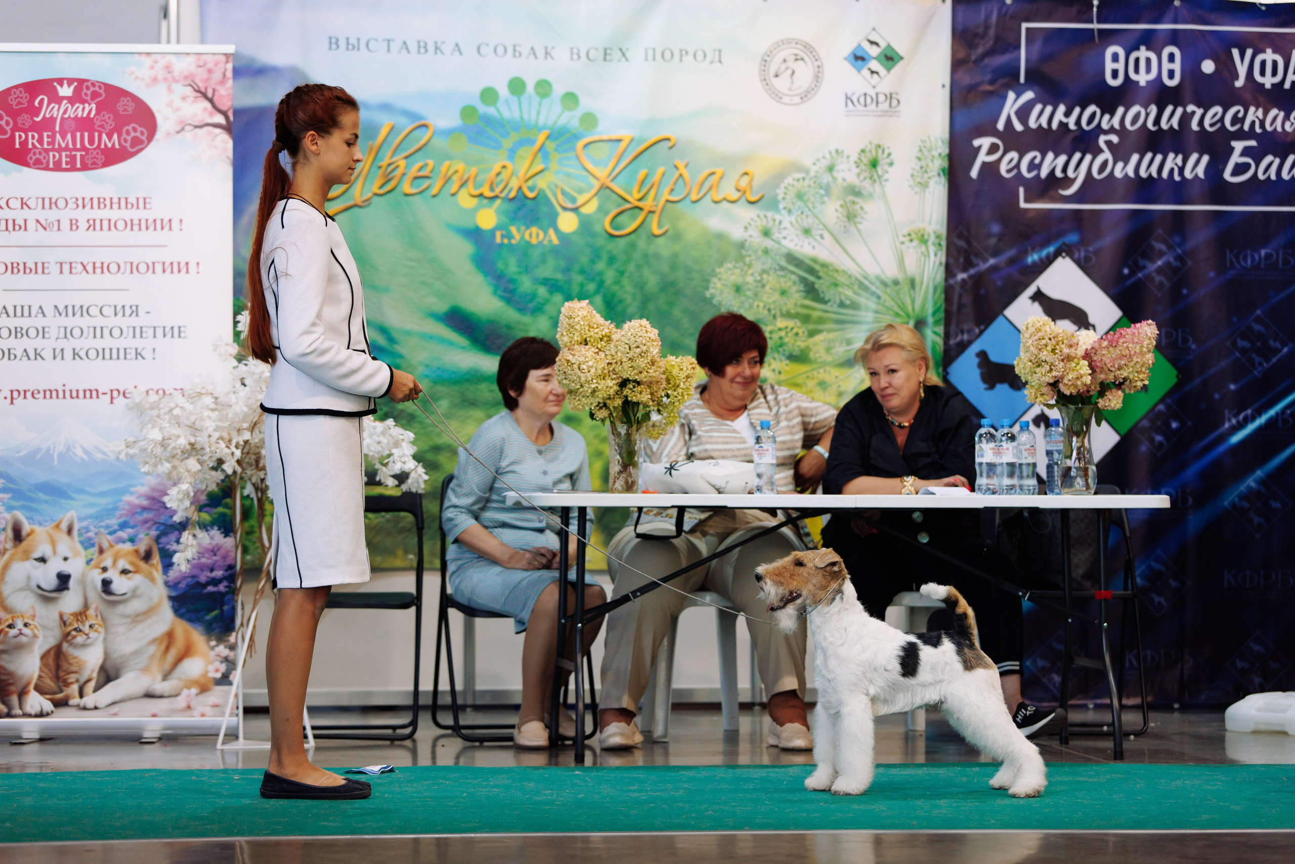 22-23.08.2026 — Уфа. Фотограф-анималист Саша Вязьмина
