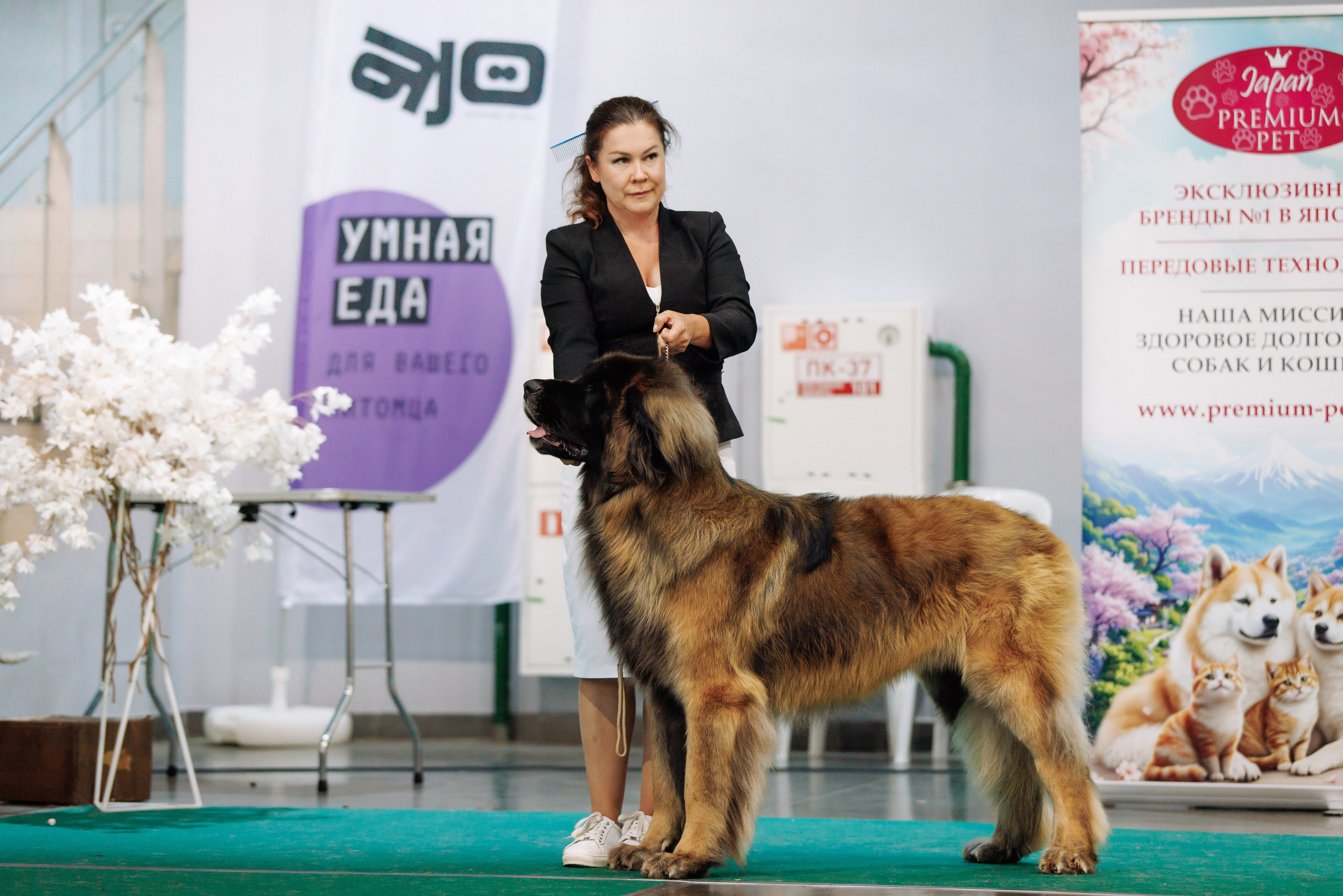22-23.08.2026 — Уфа. Фотограф-анималист Саша Вязьмина