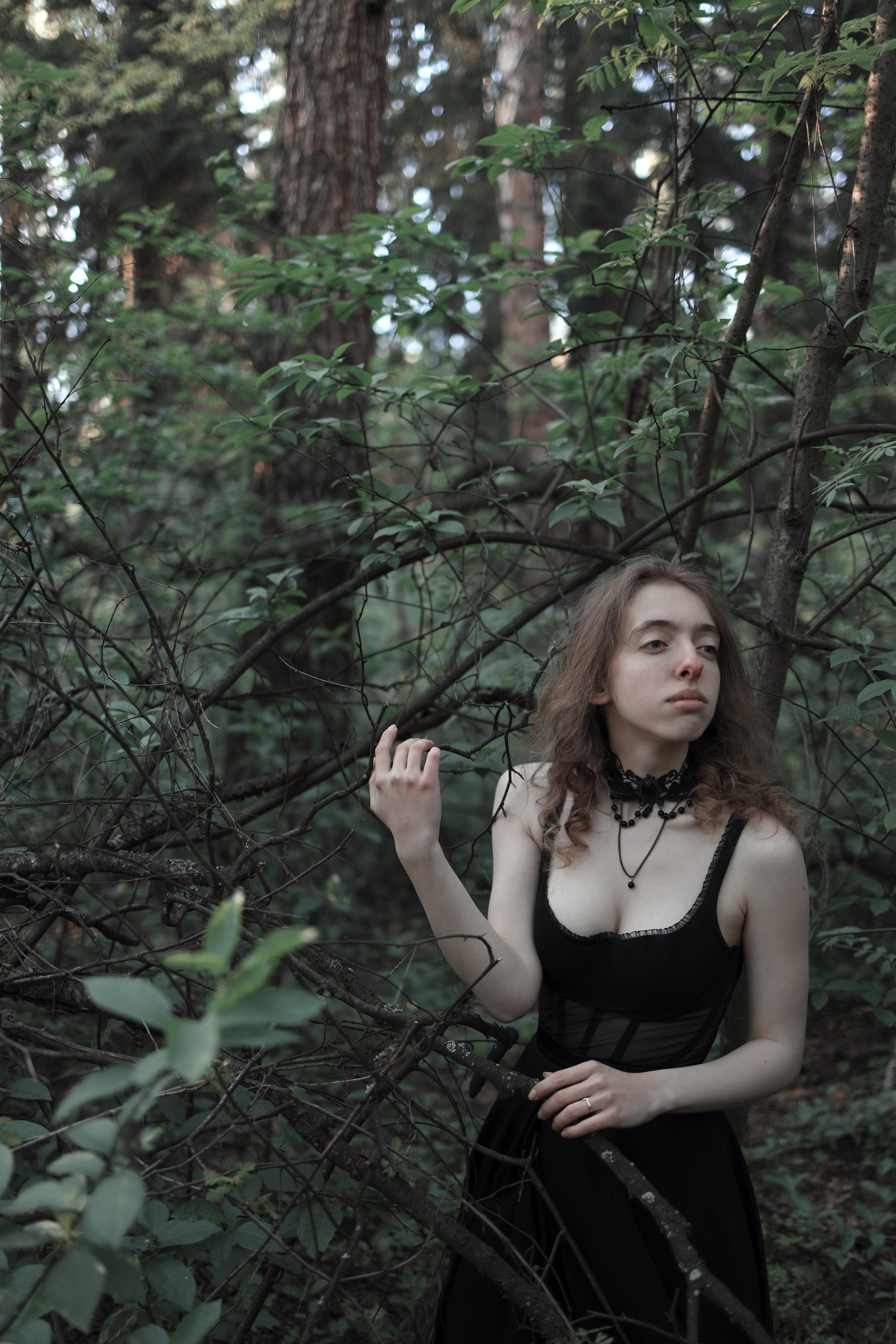 Schutzwald. Арт-фотограф. Coffelisk