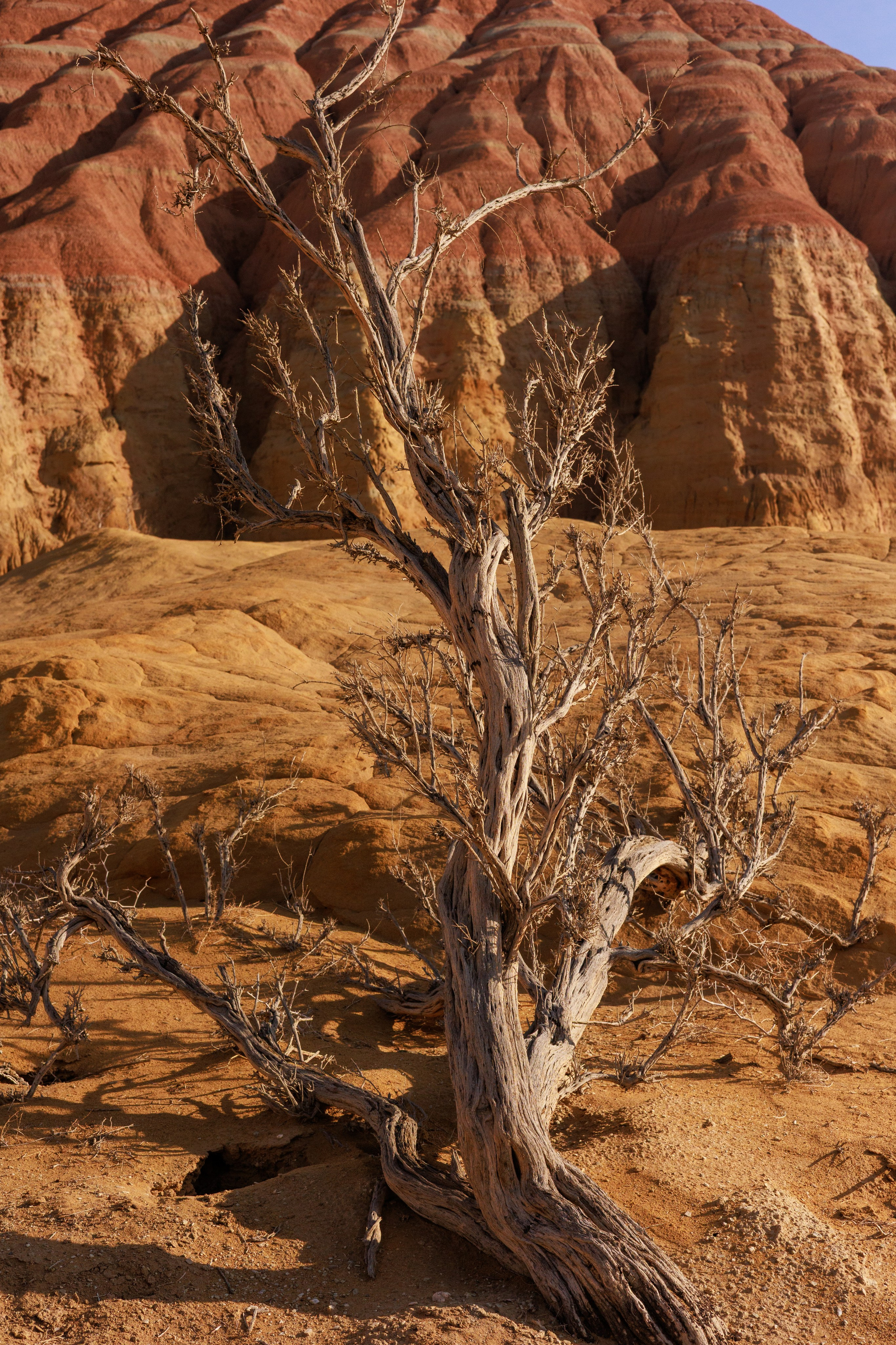 Алтын Эмель горы Актау. Фотограф Мальнева Юлия в Липецке, в Москве. Фотостудия MARU в Липецке