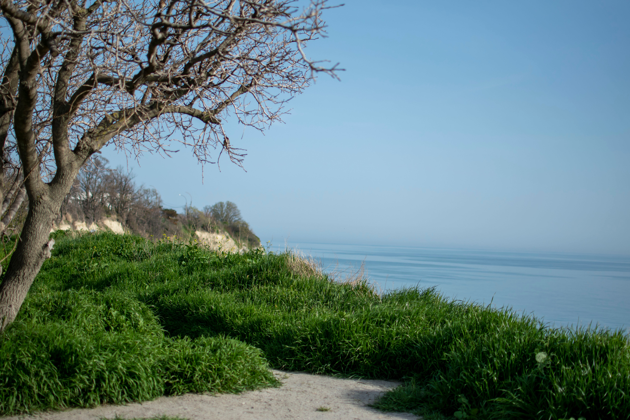 Случайные прохожие. Семейный и детский фотограф в г. Геленджике Ольга Бурдюк