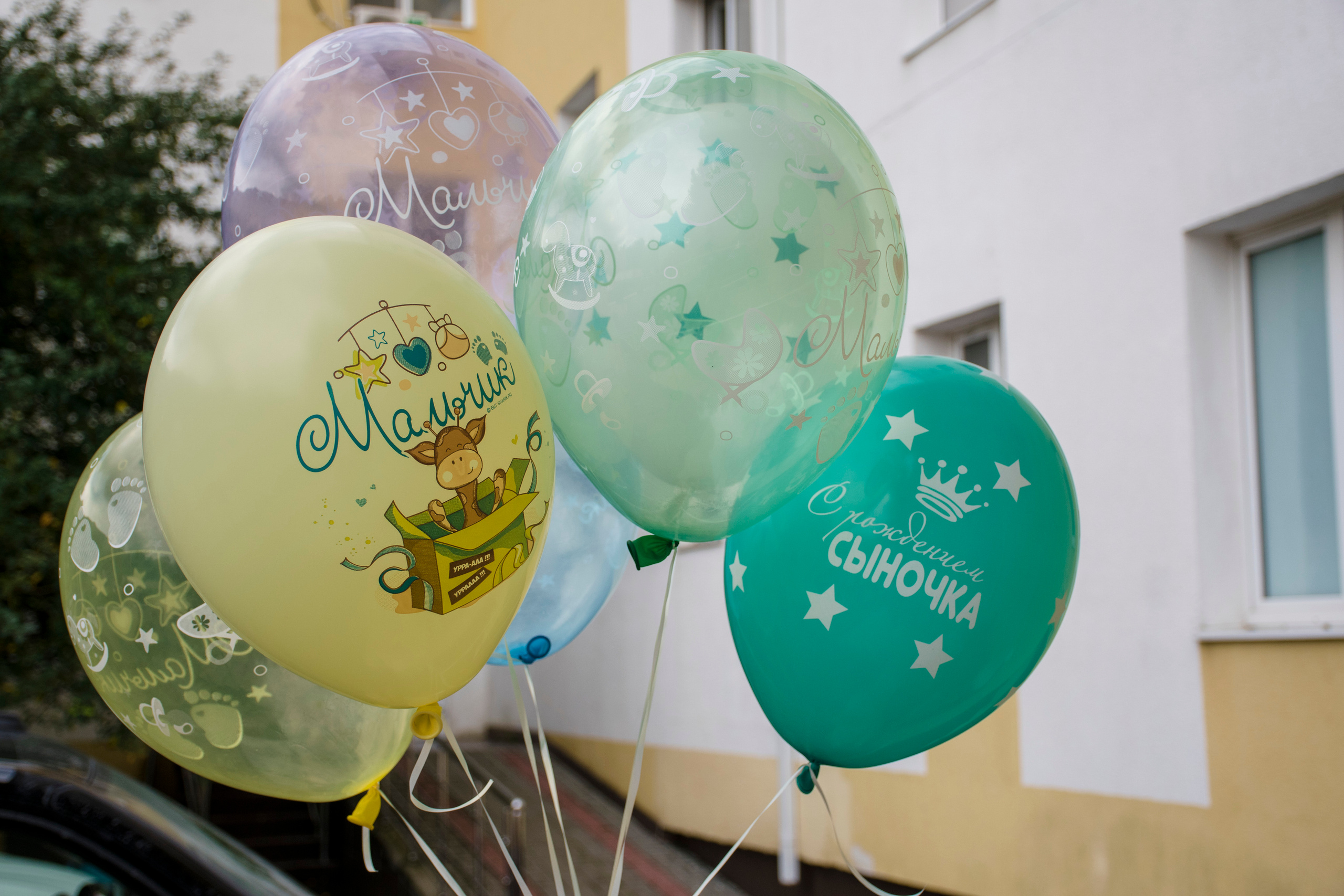 Выписка Ильи. Семейный и детский фотограф в г. Геленджике Ольга Бурдюк