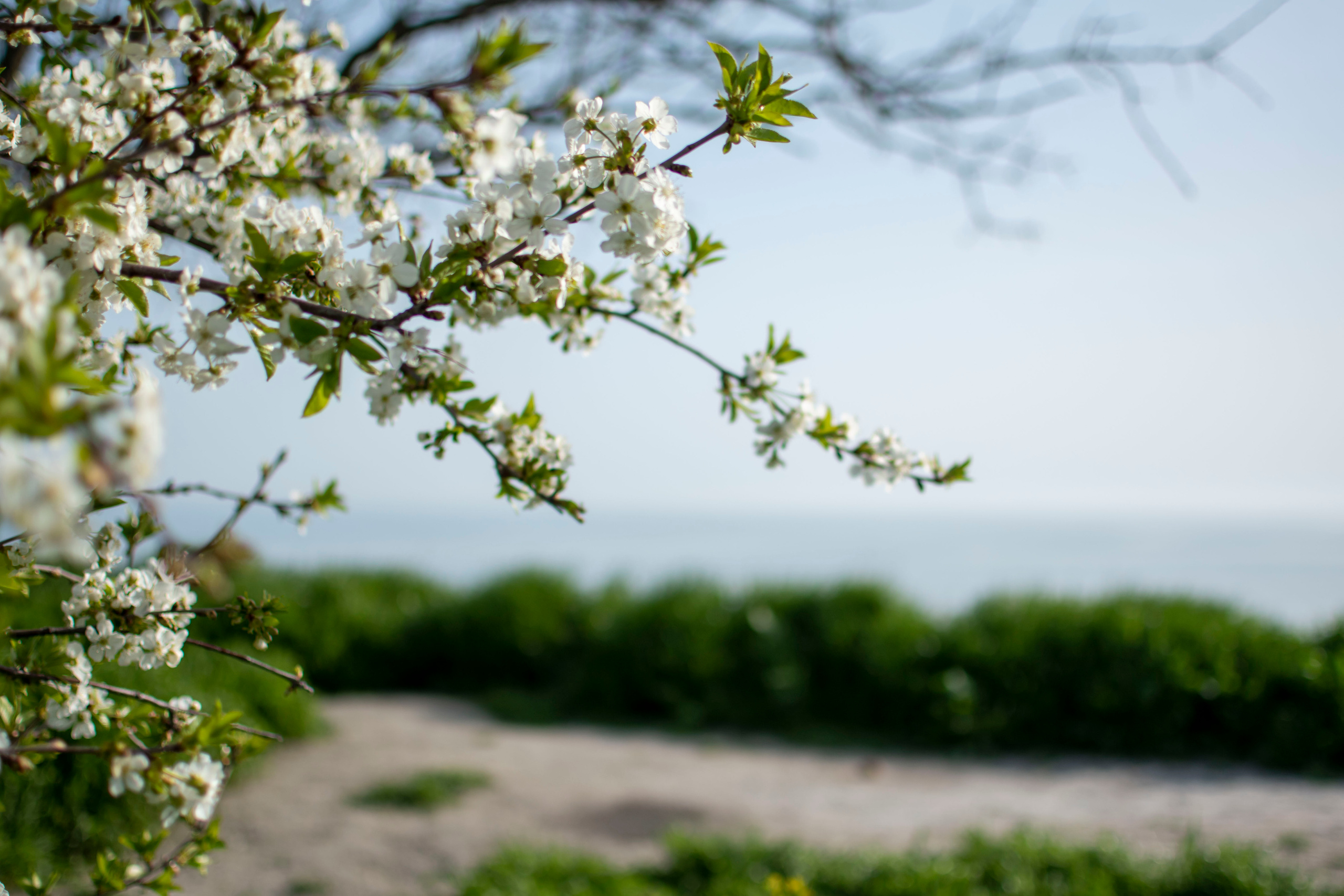 Случайные прохожие. Семейный и детский фотограф в г. Геленджике Ольга Бурдюк