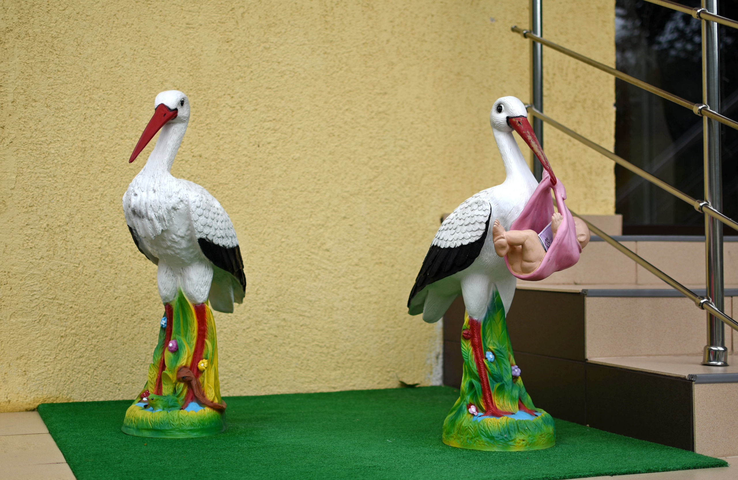 Выписка Ильи. Семейный и детский фотограф в г. Геленджике Ольга Бурдюк