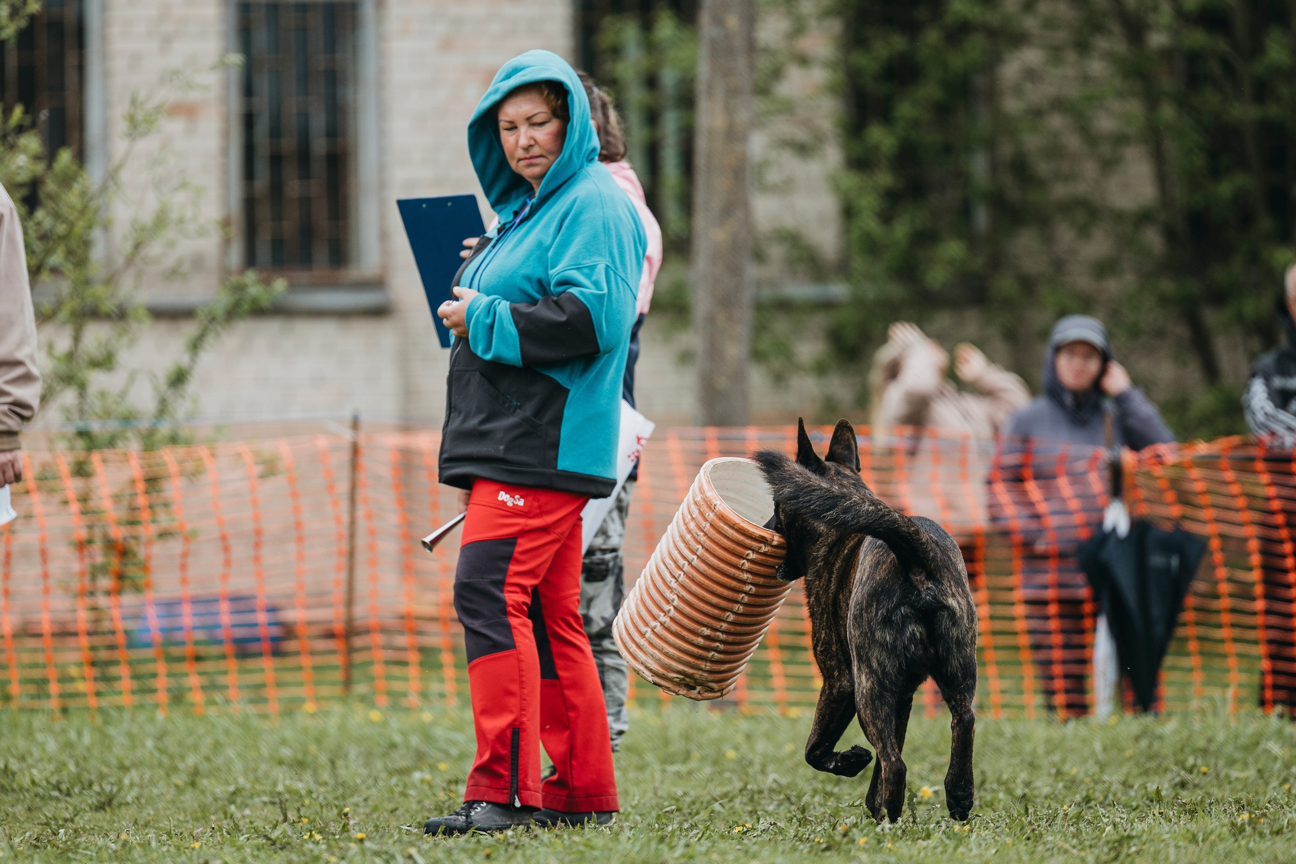 26.05.25 г. Пушкин квалификационные соревнования. Фотограф-анималист Анна Маринич