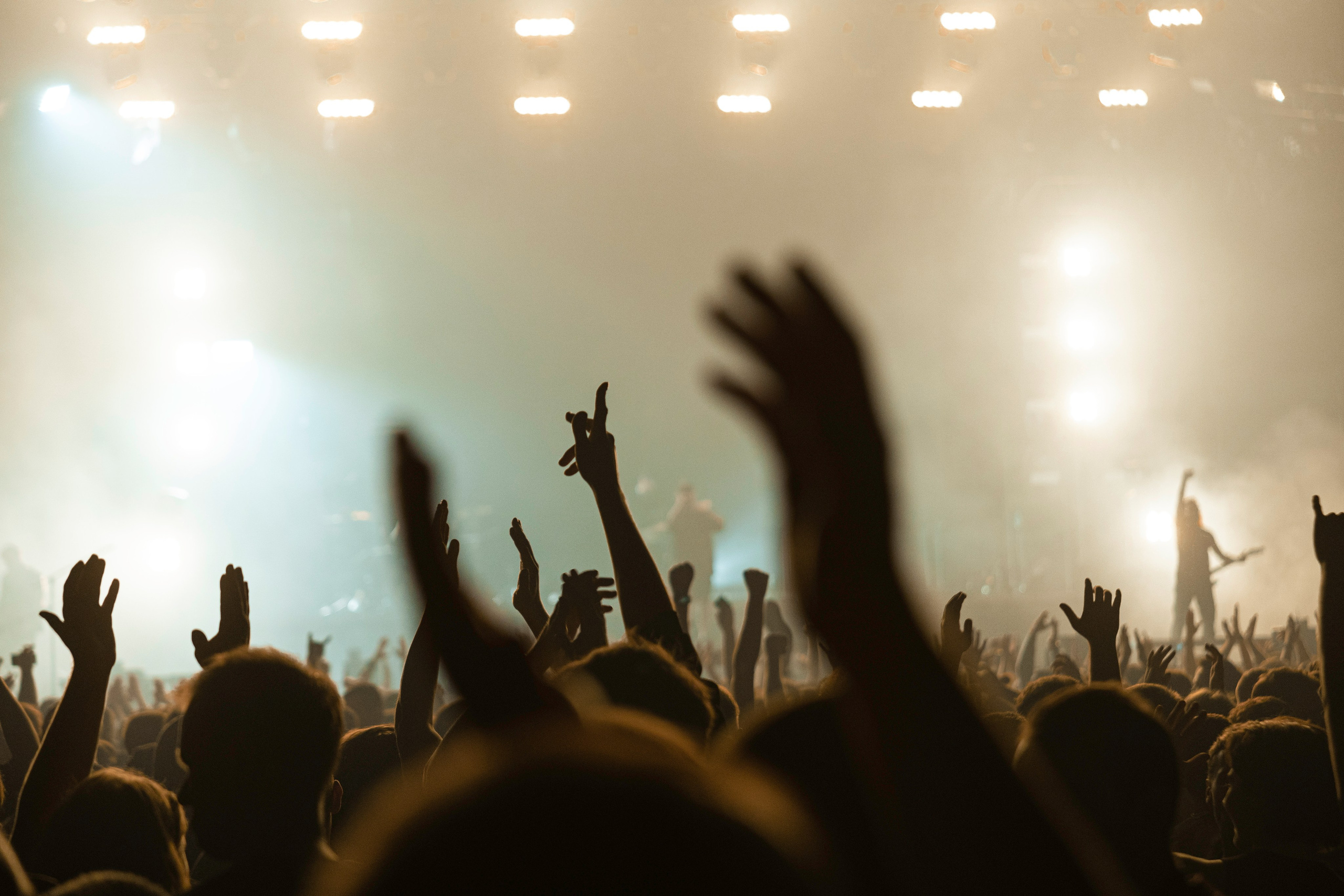 [AMATORY]. Концертный фотограф в Москве Алексей Вовк