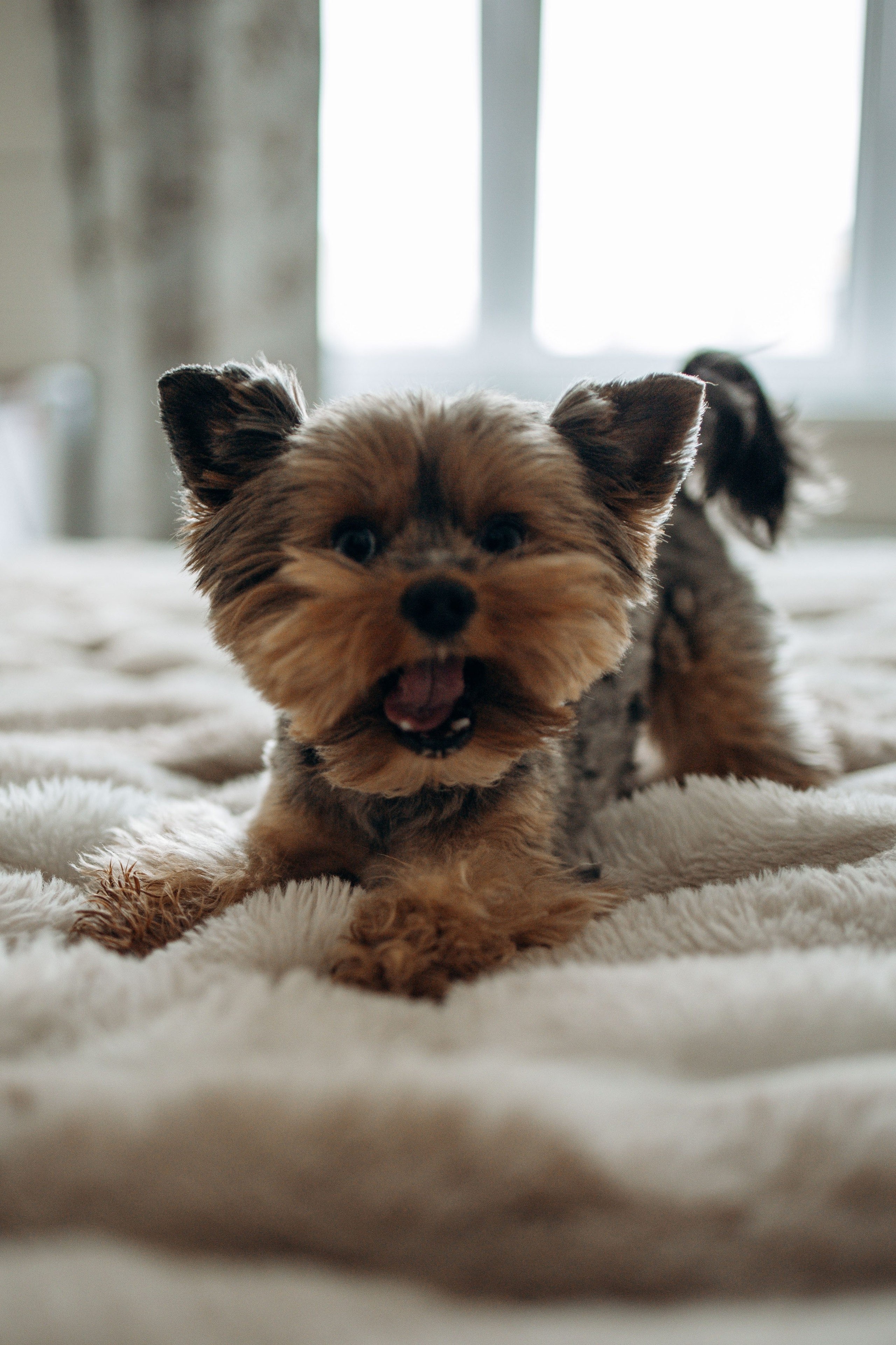 Настя и Йося