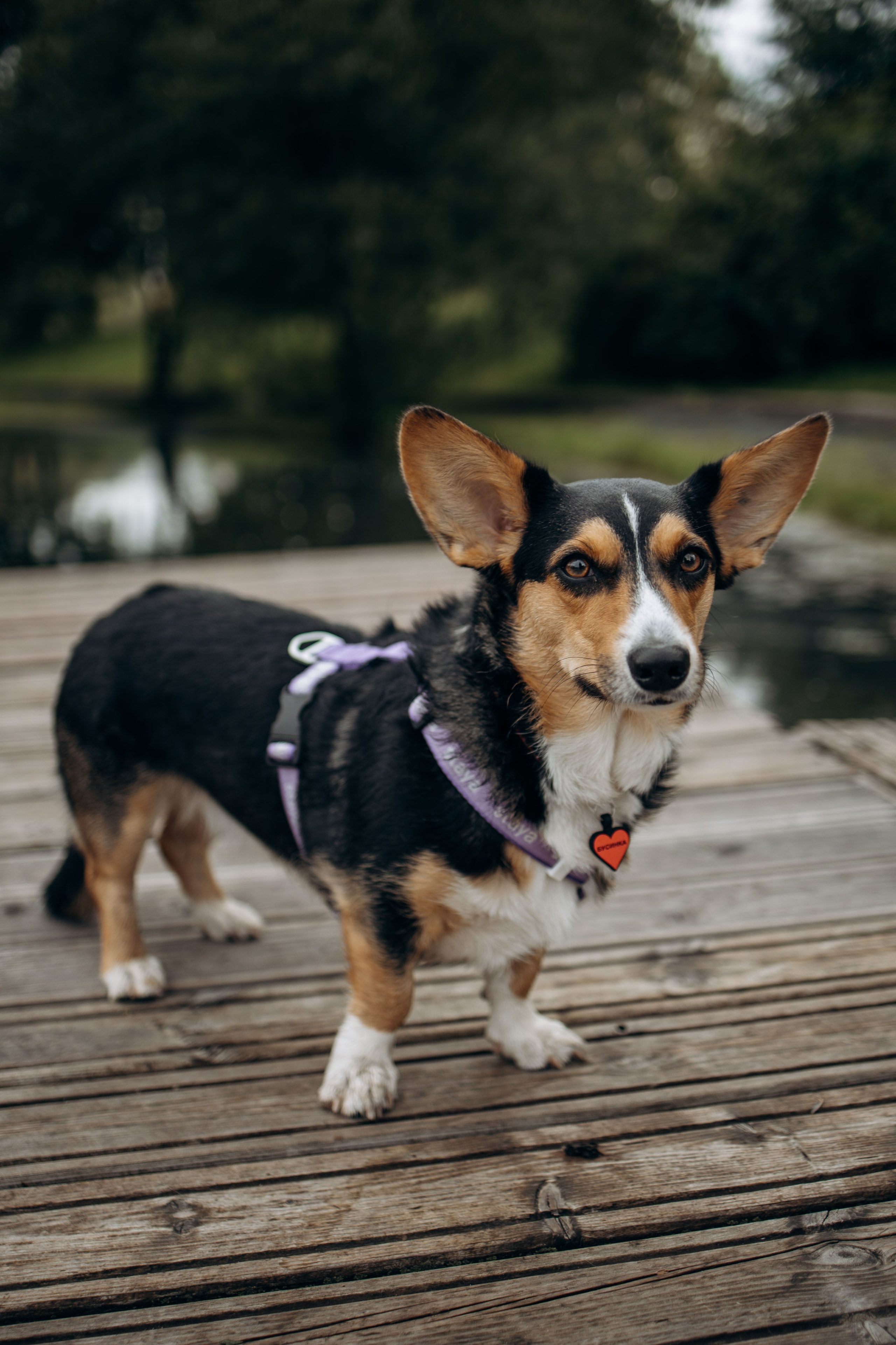 Тамара и Бусинка