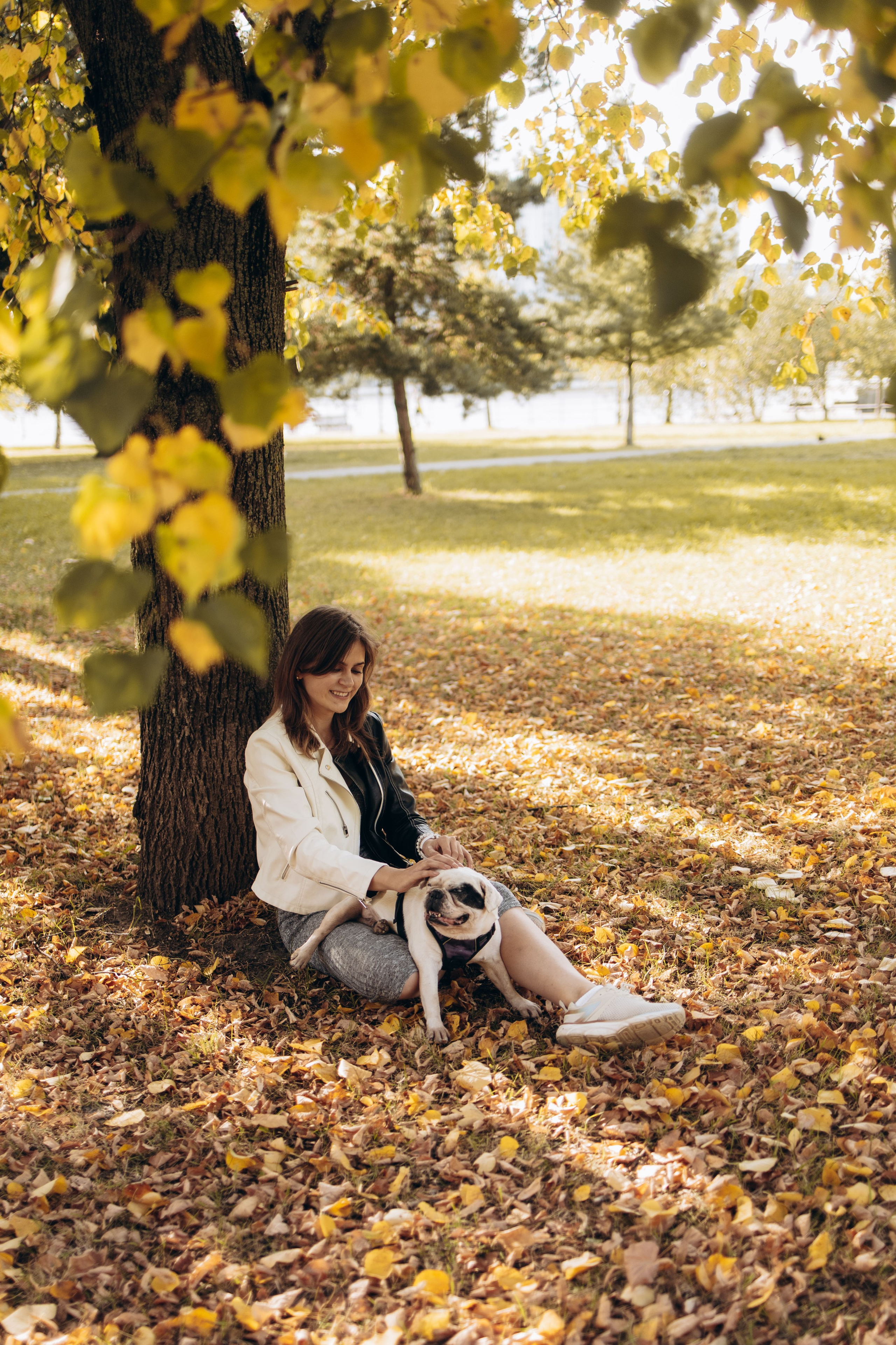 Оля и бульдоги