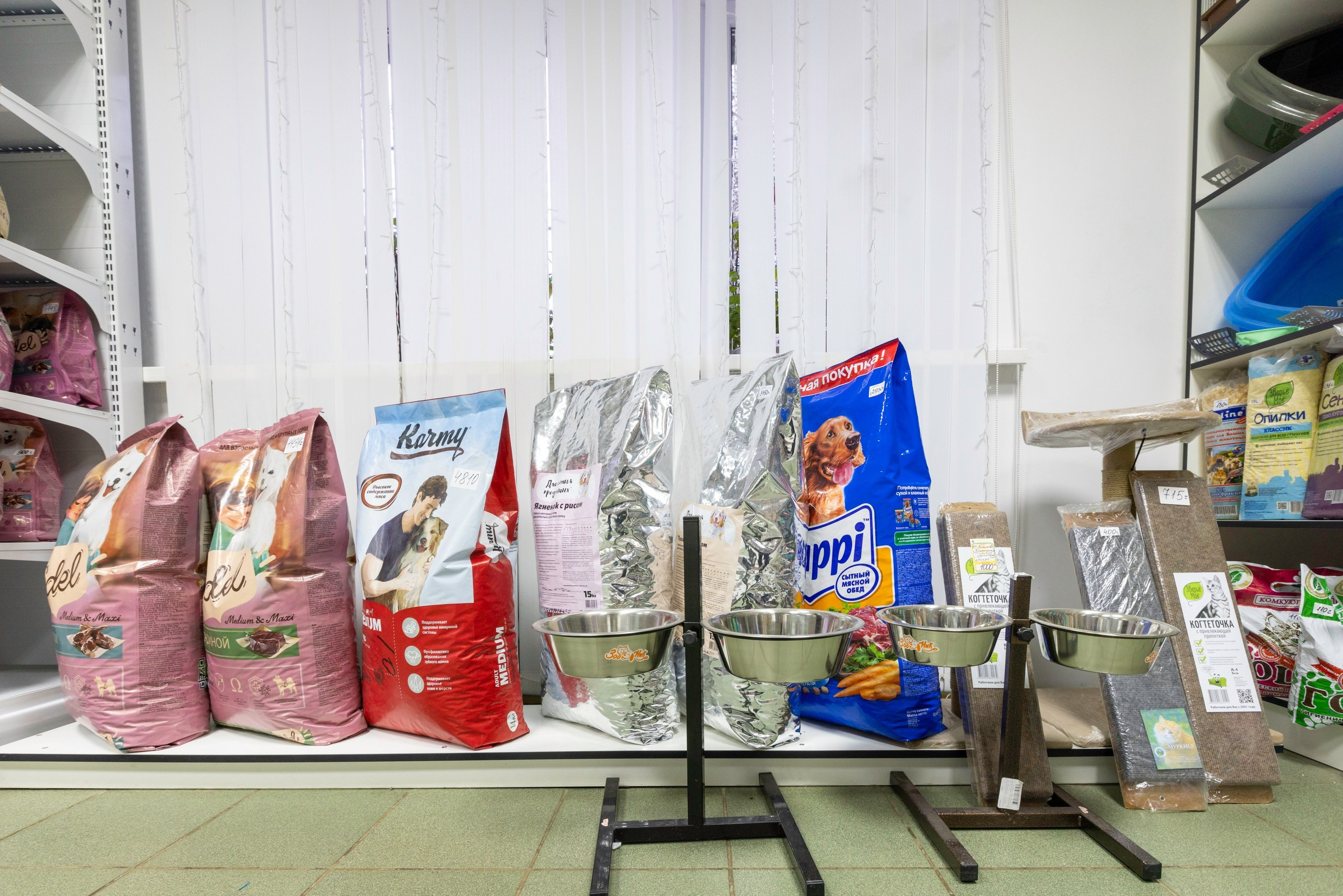 БАРОН. Ветеринарная клиника. Фотограф в Туле Крупский АнДРей. Фотостудия «КАДР71» в Туле