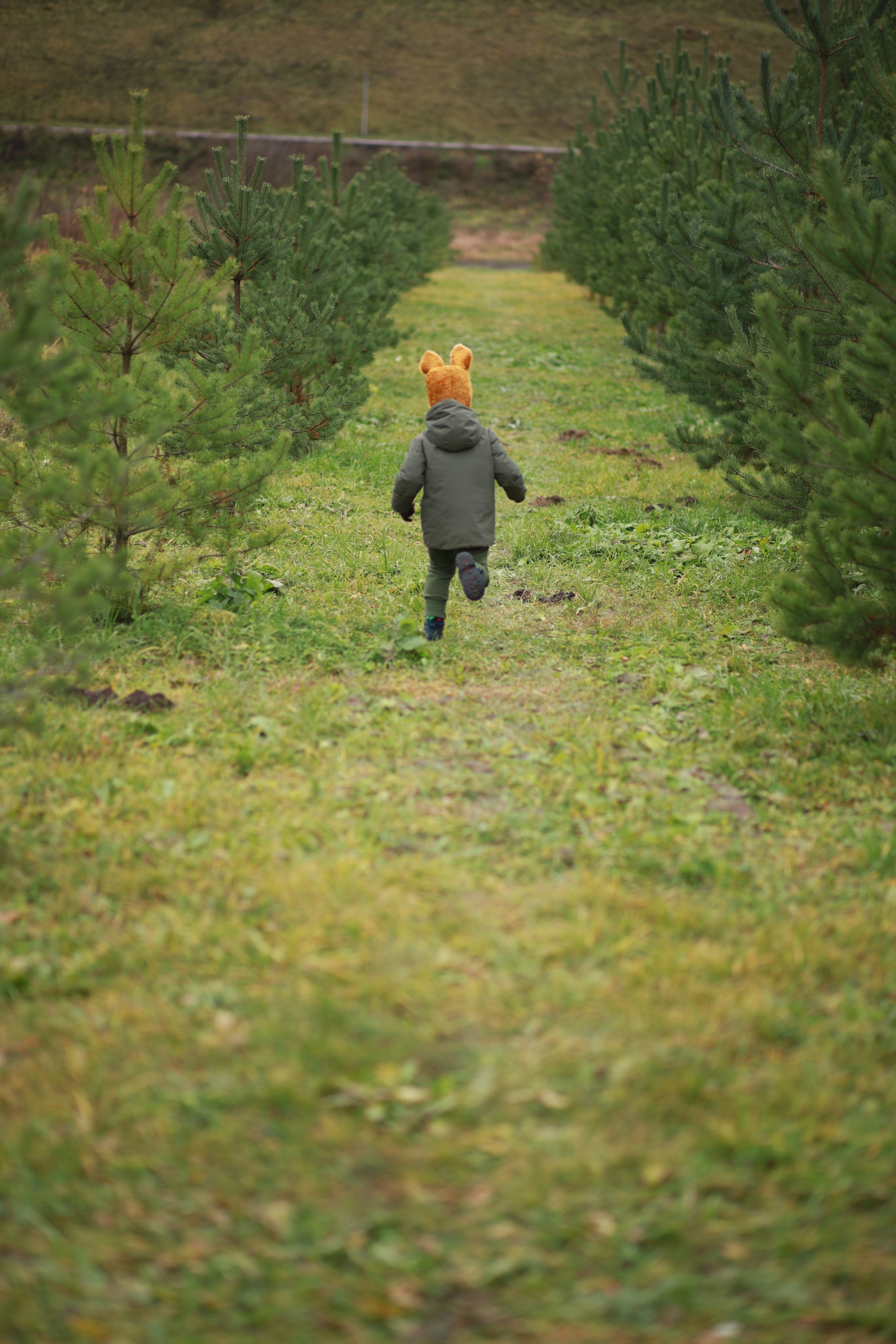 ЛИСЯТА. Арт-фотограф в Москве Елена Иванова