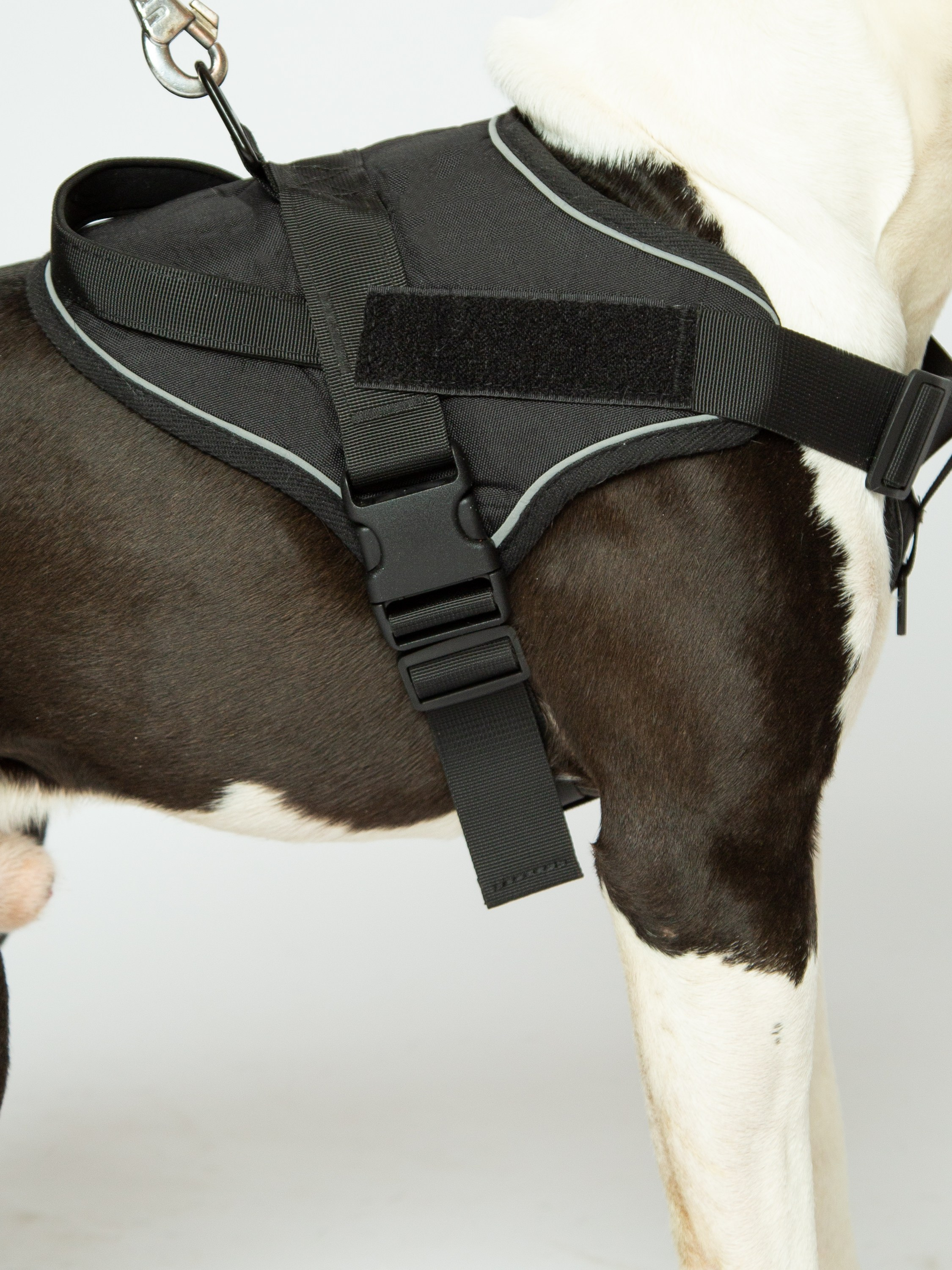 Маркетплейсы WB/OZON/Яндекс Маркет. Свадебный фотограф Москва. Семейный фотограф. Предметная съемка, съемка одежды