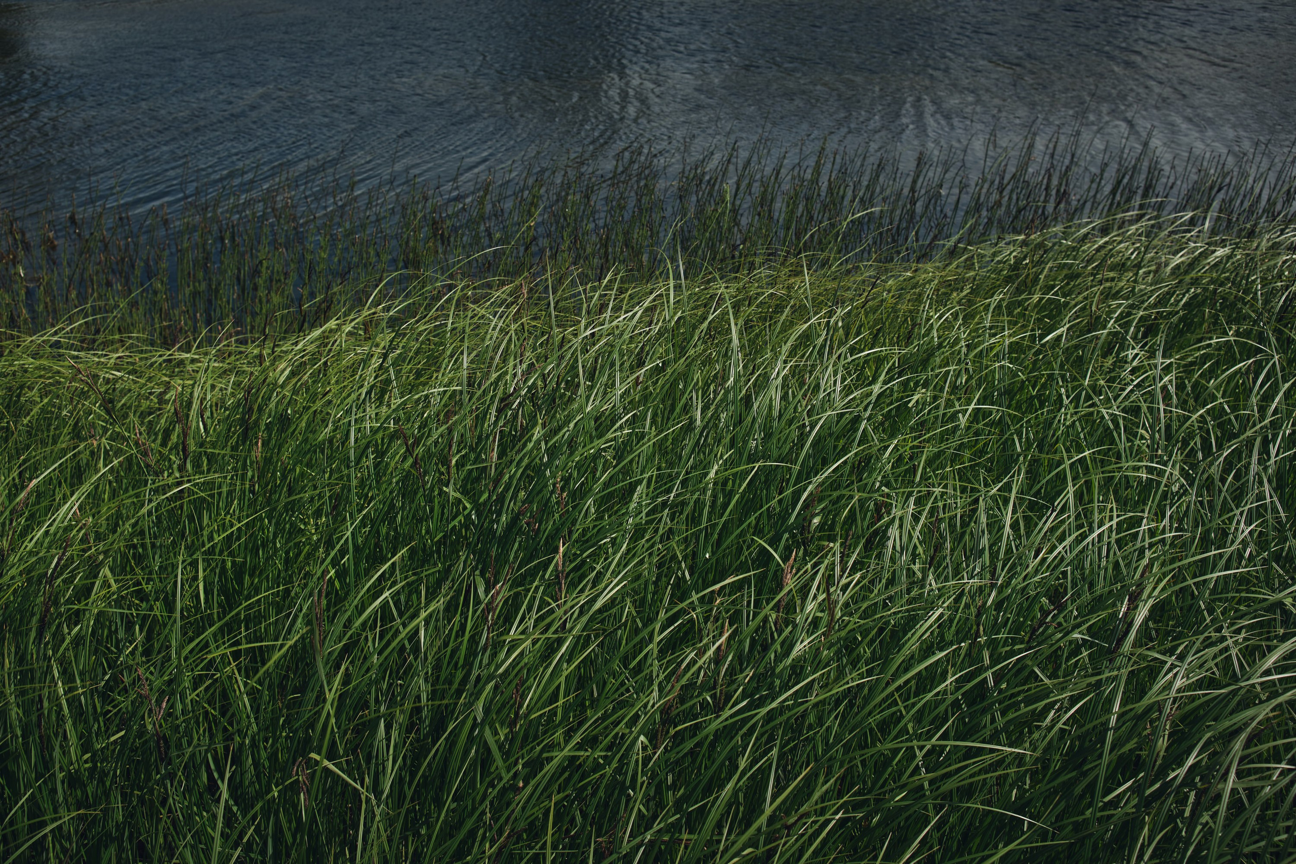 Русский север: путешествие по Карелии, Архангельской и Вологодской областям