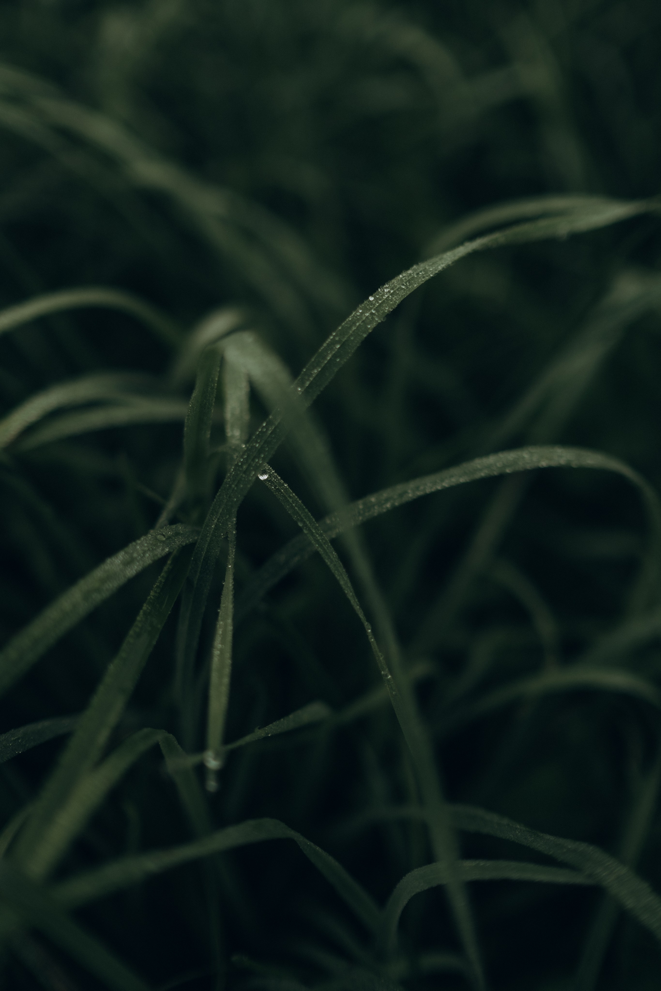 На рассвете. Фотограф в Москве Ольга Елоева