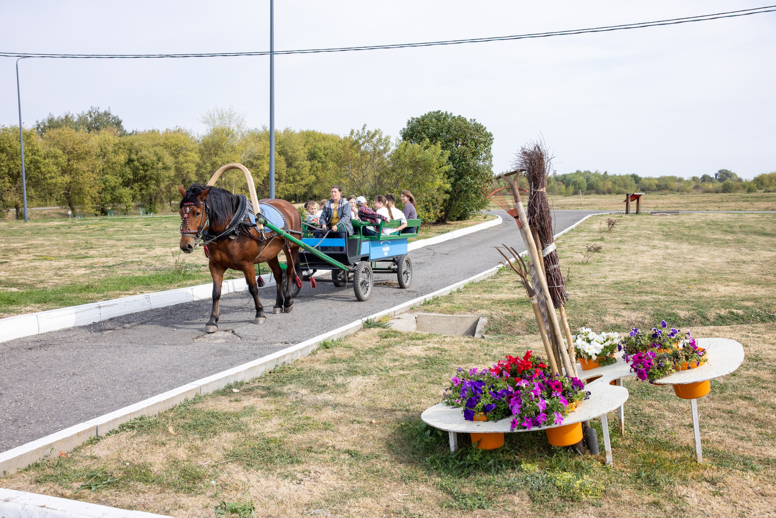 Поездка на поле Кулеково. Фотограф в Туле Крупский АнДРей. Фотостудия «КАДР71» в Туле