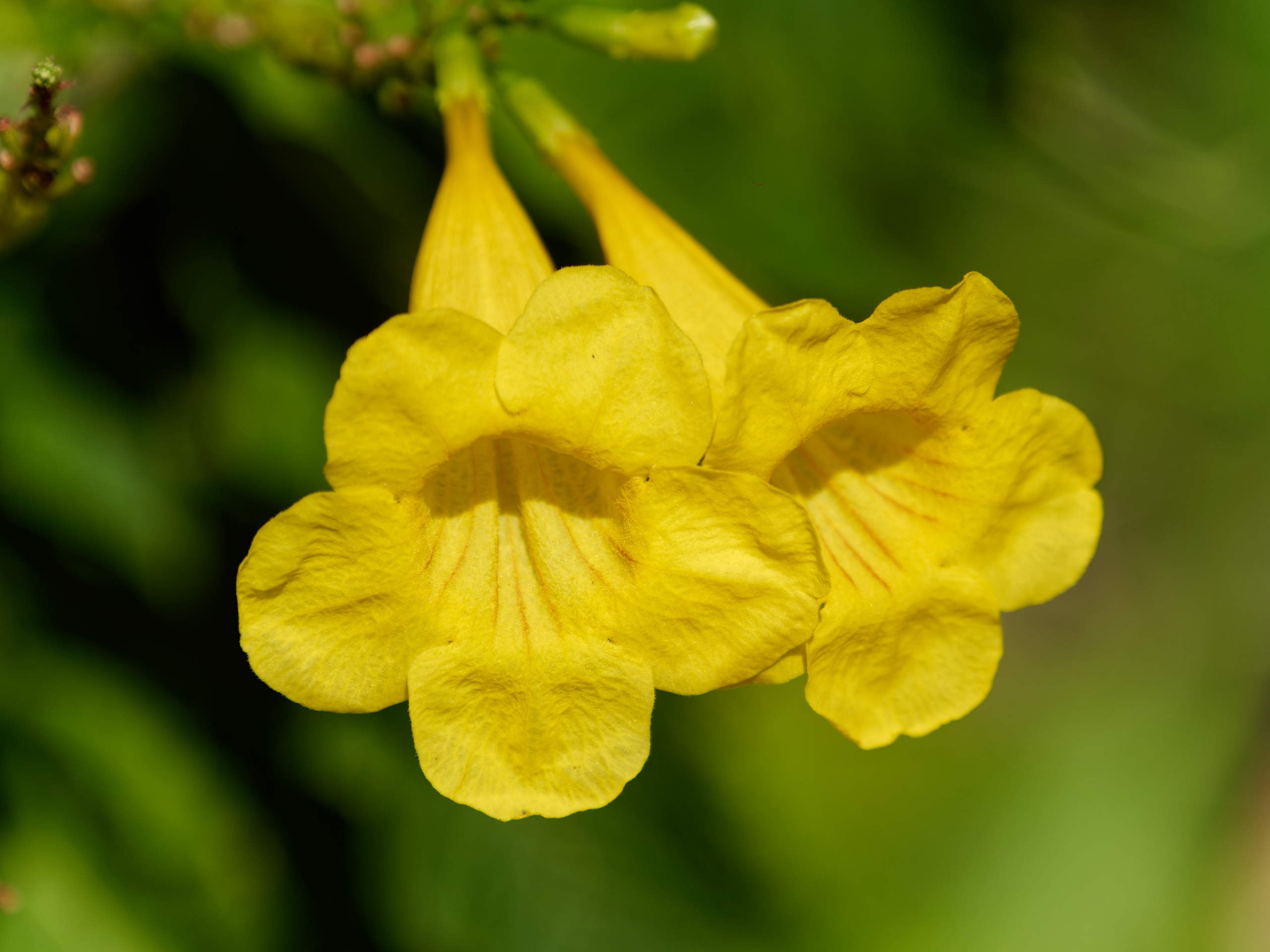 Нячанг 2023. Избранные фотографии