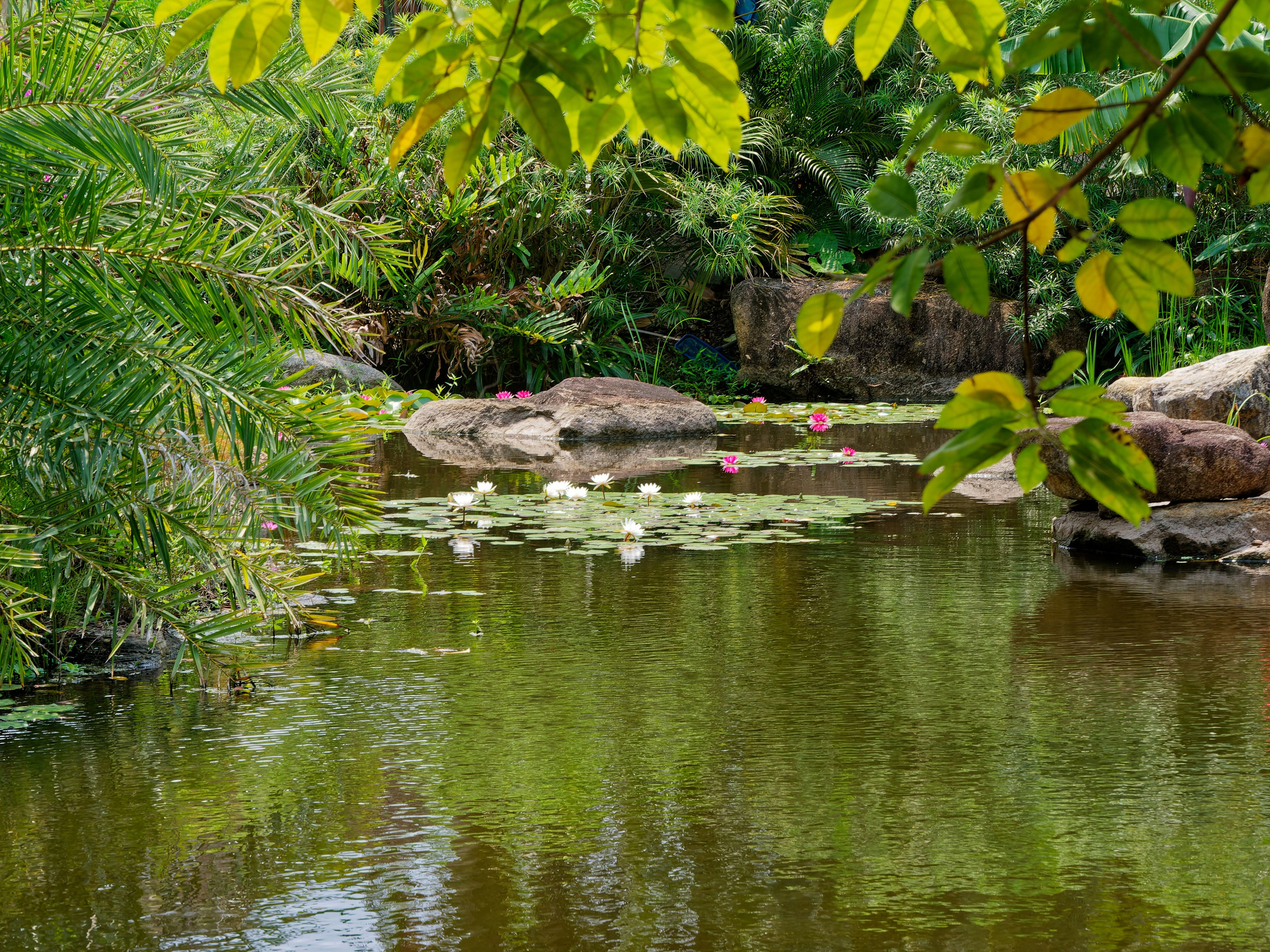Хайнань 2026, отель «Stony Brook Villa Jianguo Resort Sanya 4*». Фотопрогулки по Миру