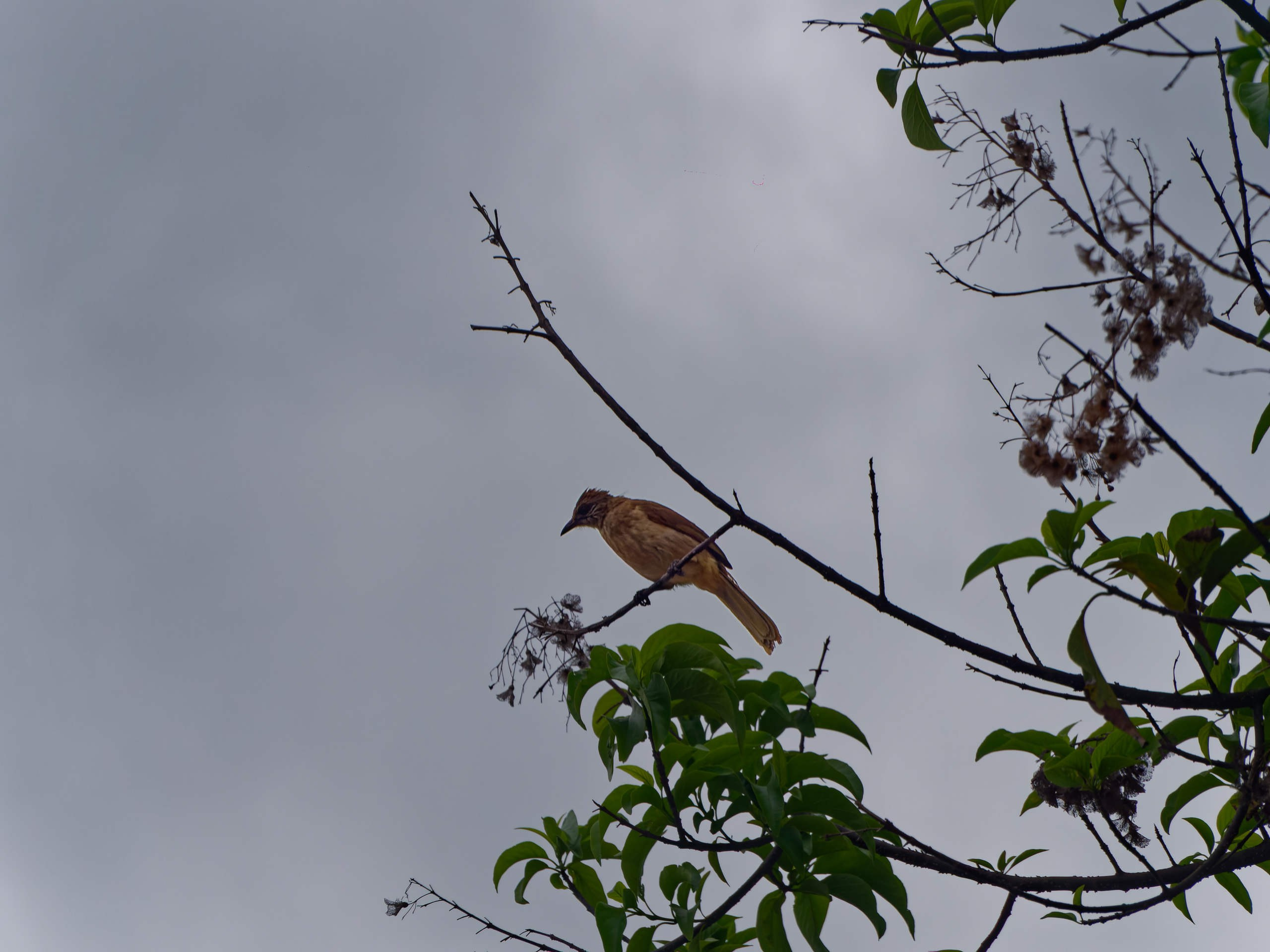 Нячанг 2025 (4). Избранные фотографии