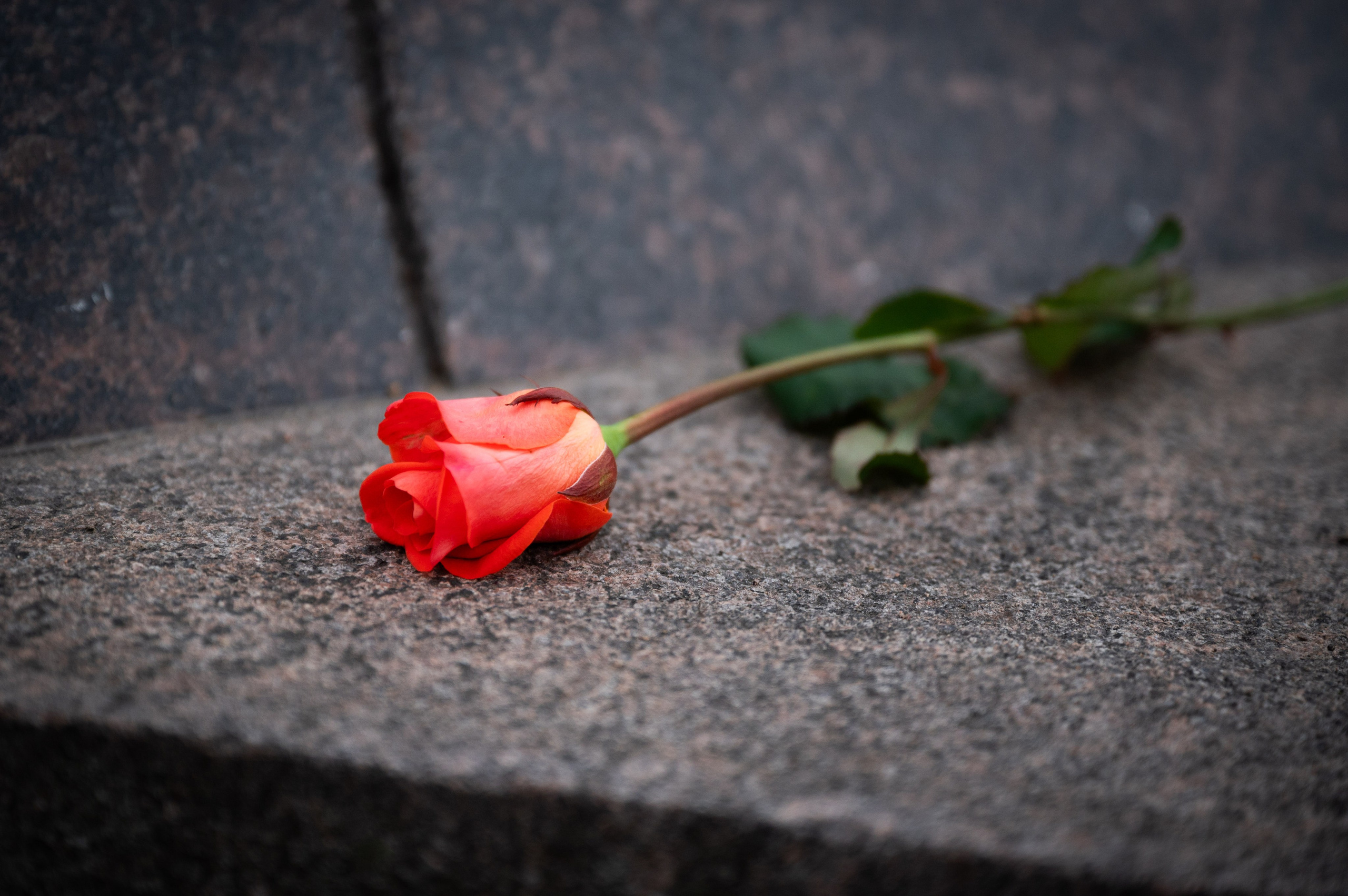 Паломническая поездка на Бутовский полигон. Антон и Татьяна Денисенко — В храме