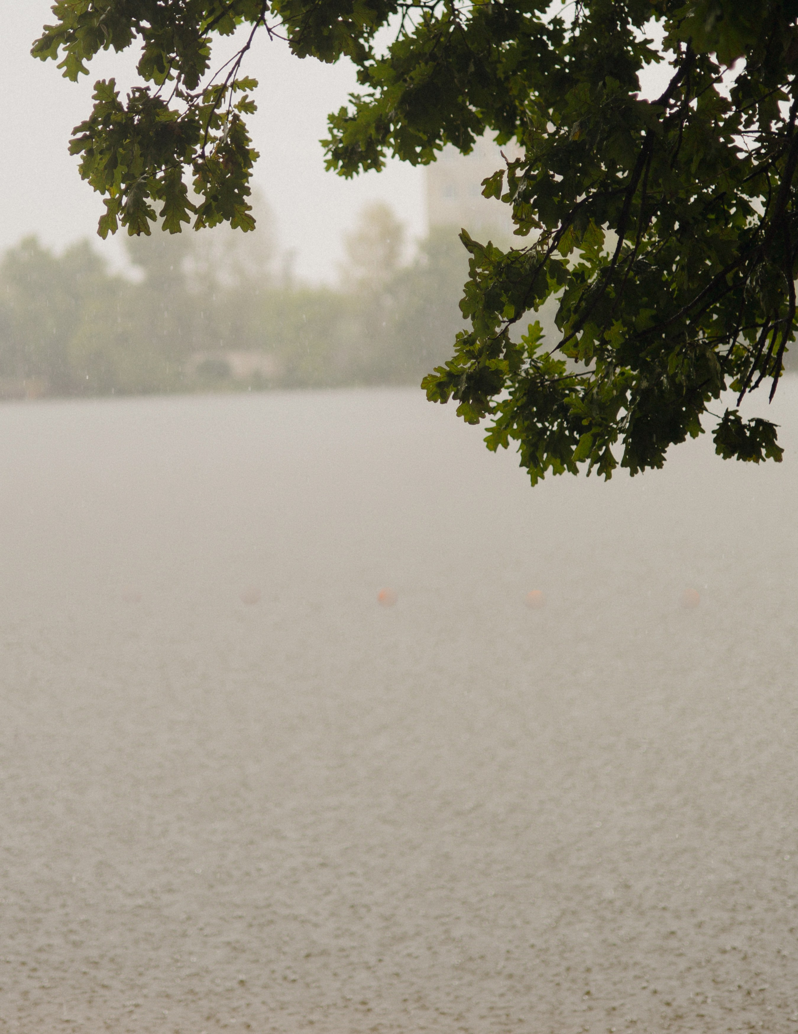 Кирилл & Татьяна. 2025. Оксана Вахидова Фотограф Кумертау, Уфа, Мелеуз, Салават