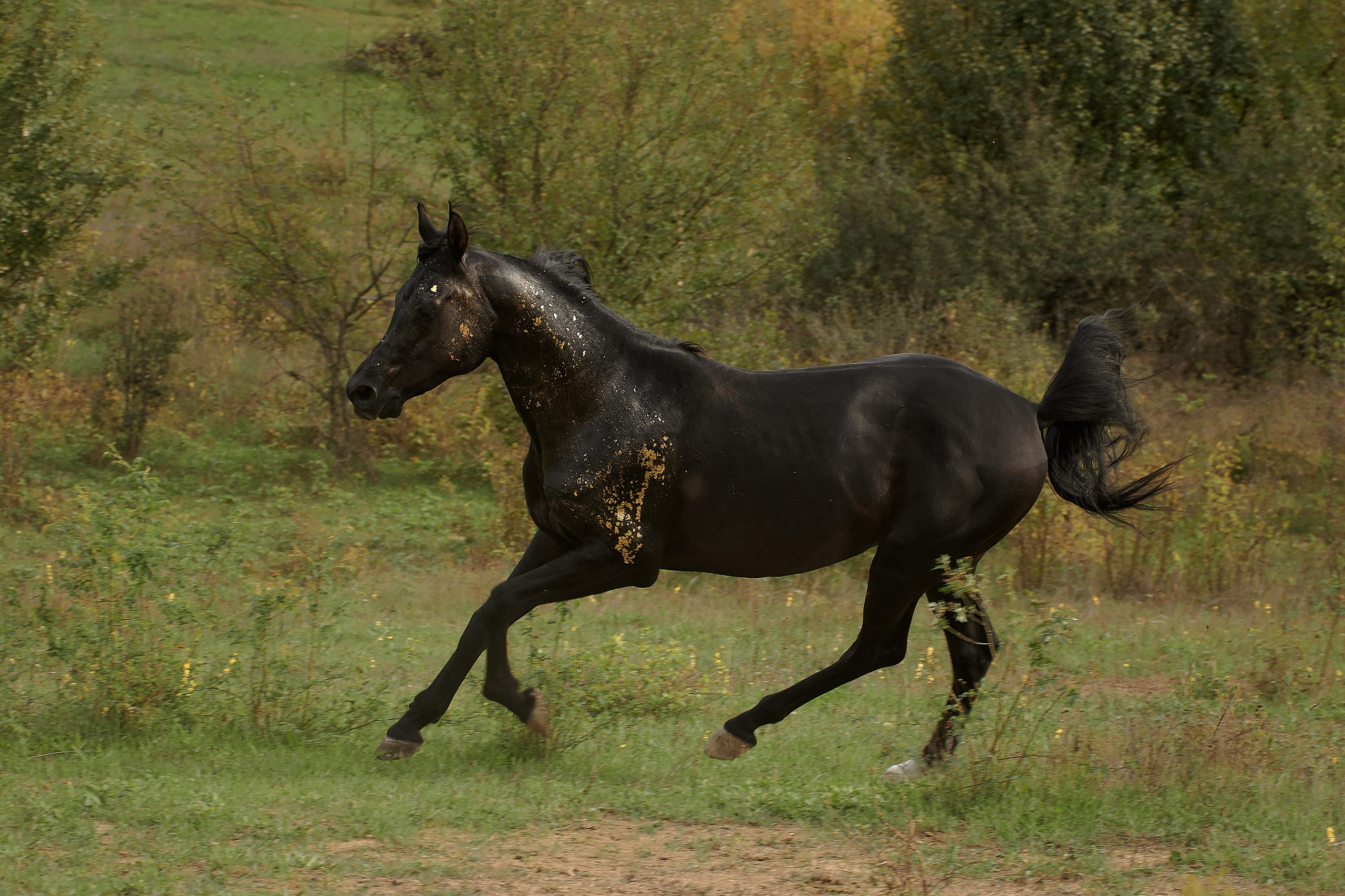 Харакс. Фотограф в Севастополе