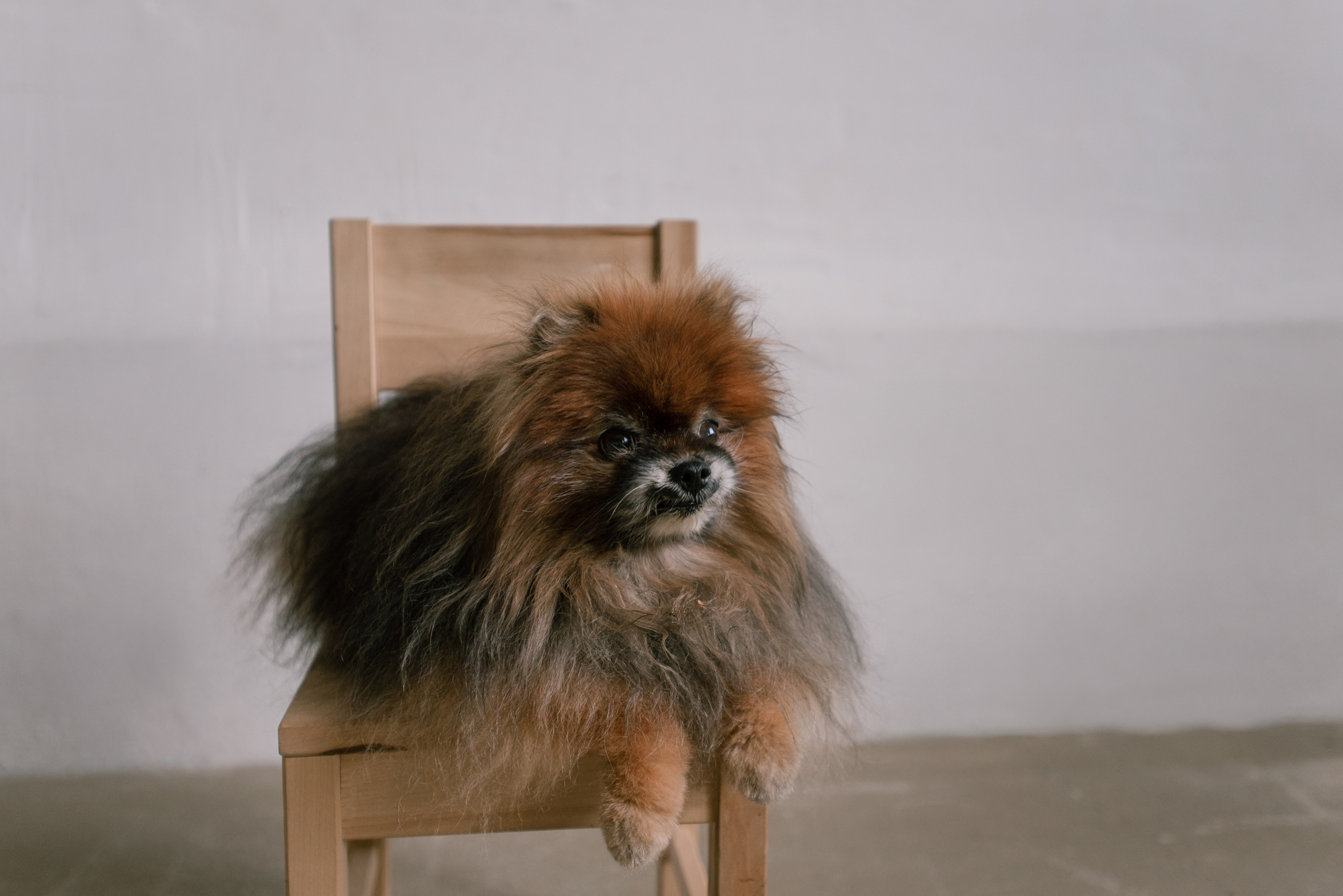 Семья. Фотограф Анна Тюрина