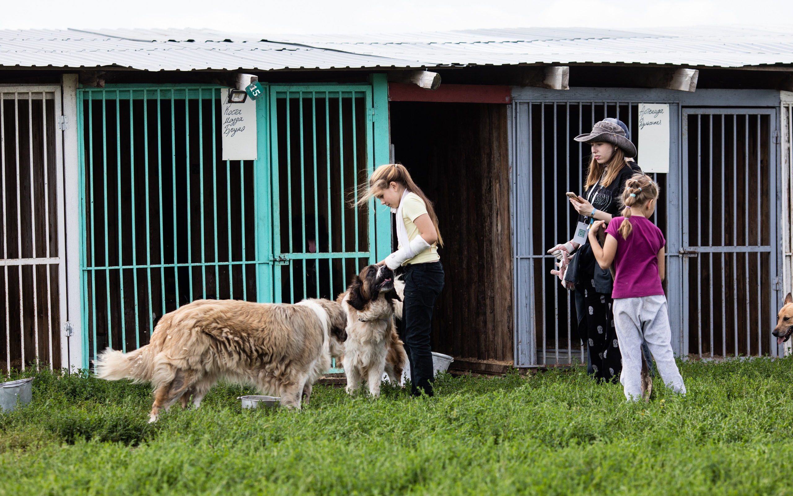 Приют — Наш дом. Репортажный и свадебный фотограф в Челябинске Елисеев Павел