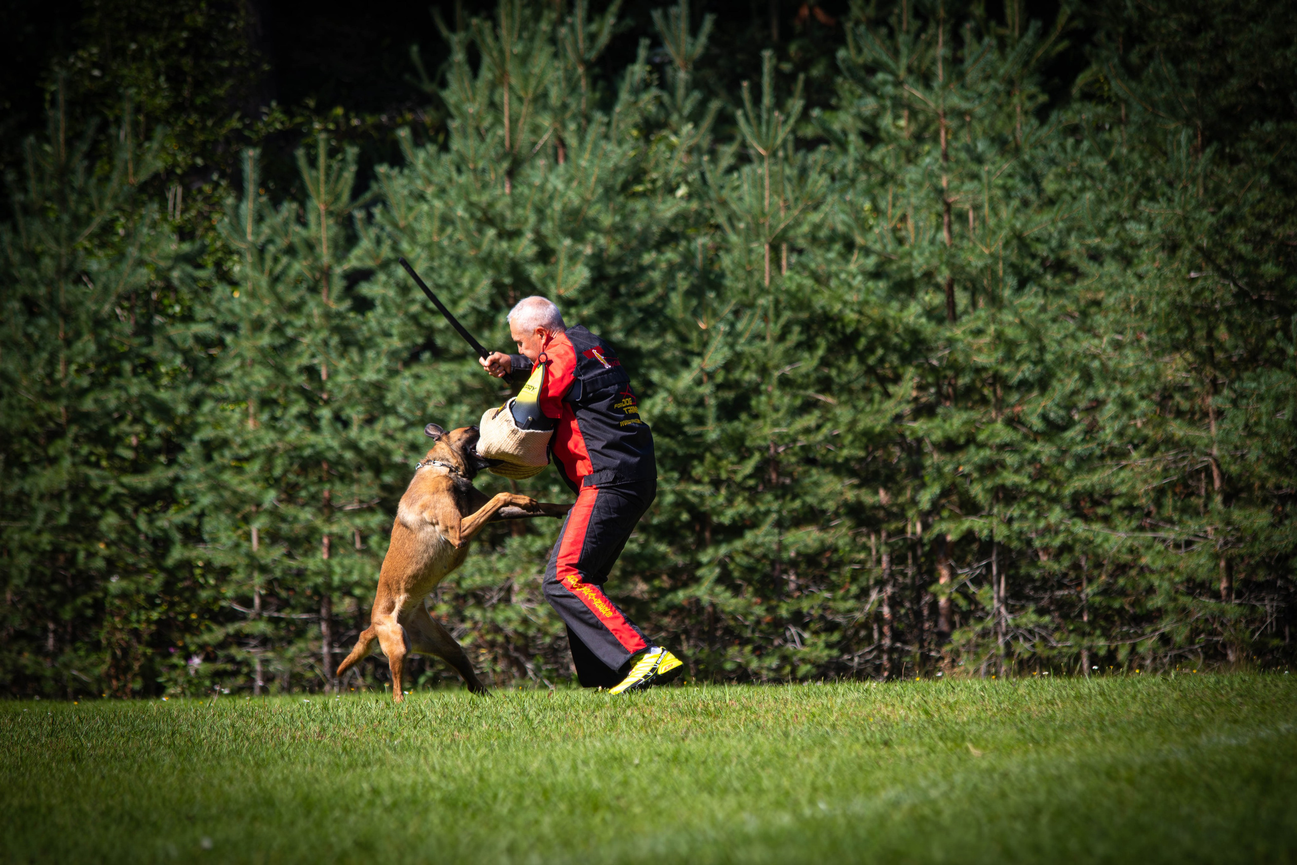 IGP фотограф Москва 