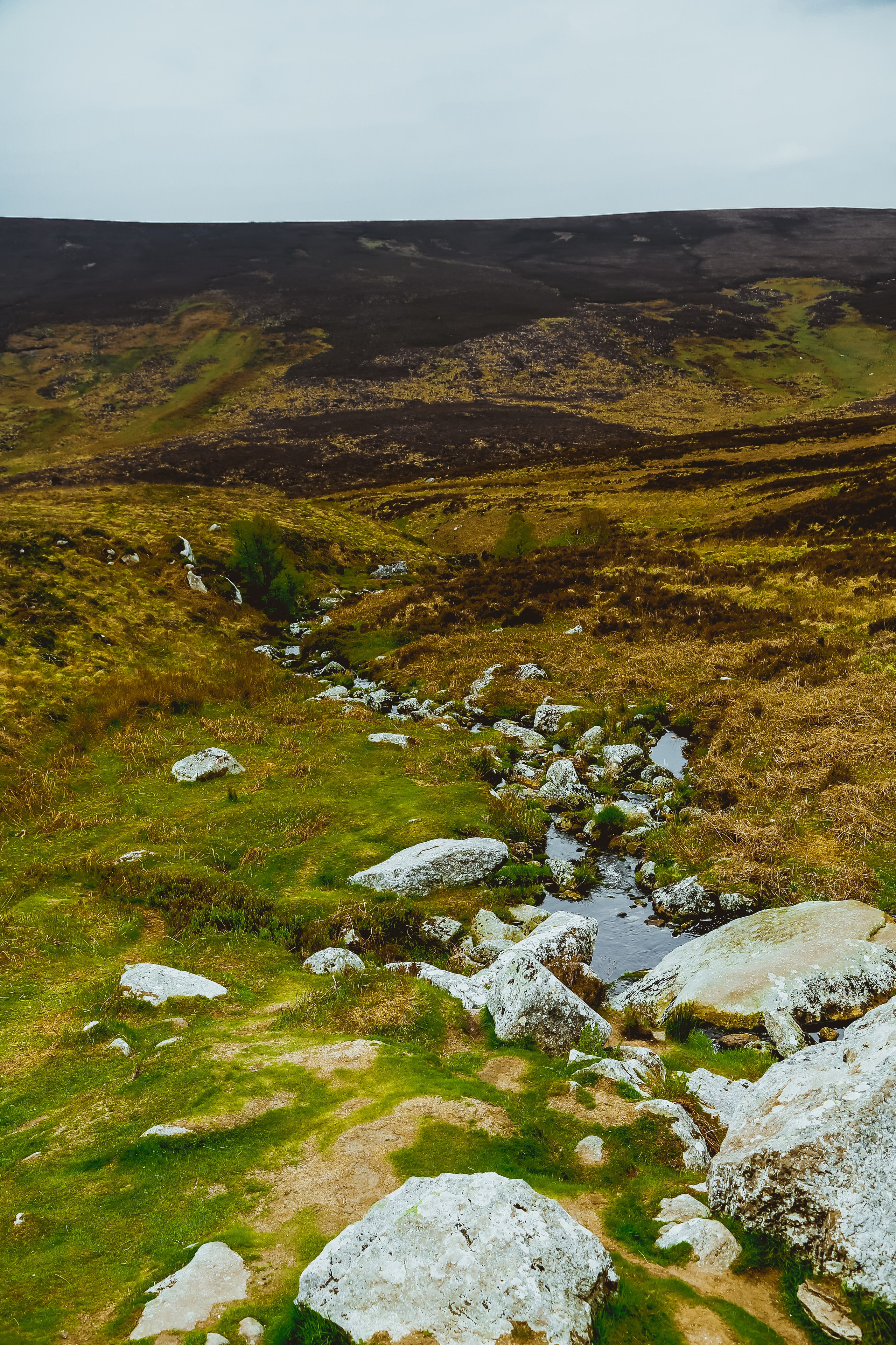 Ирландия: Горы Уиклоу. Дарья Письменюк / Darya Leitstern — фотограф, музыкант, журналист, путешественник