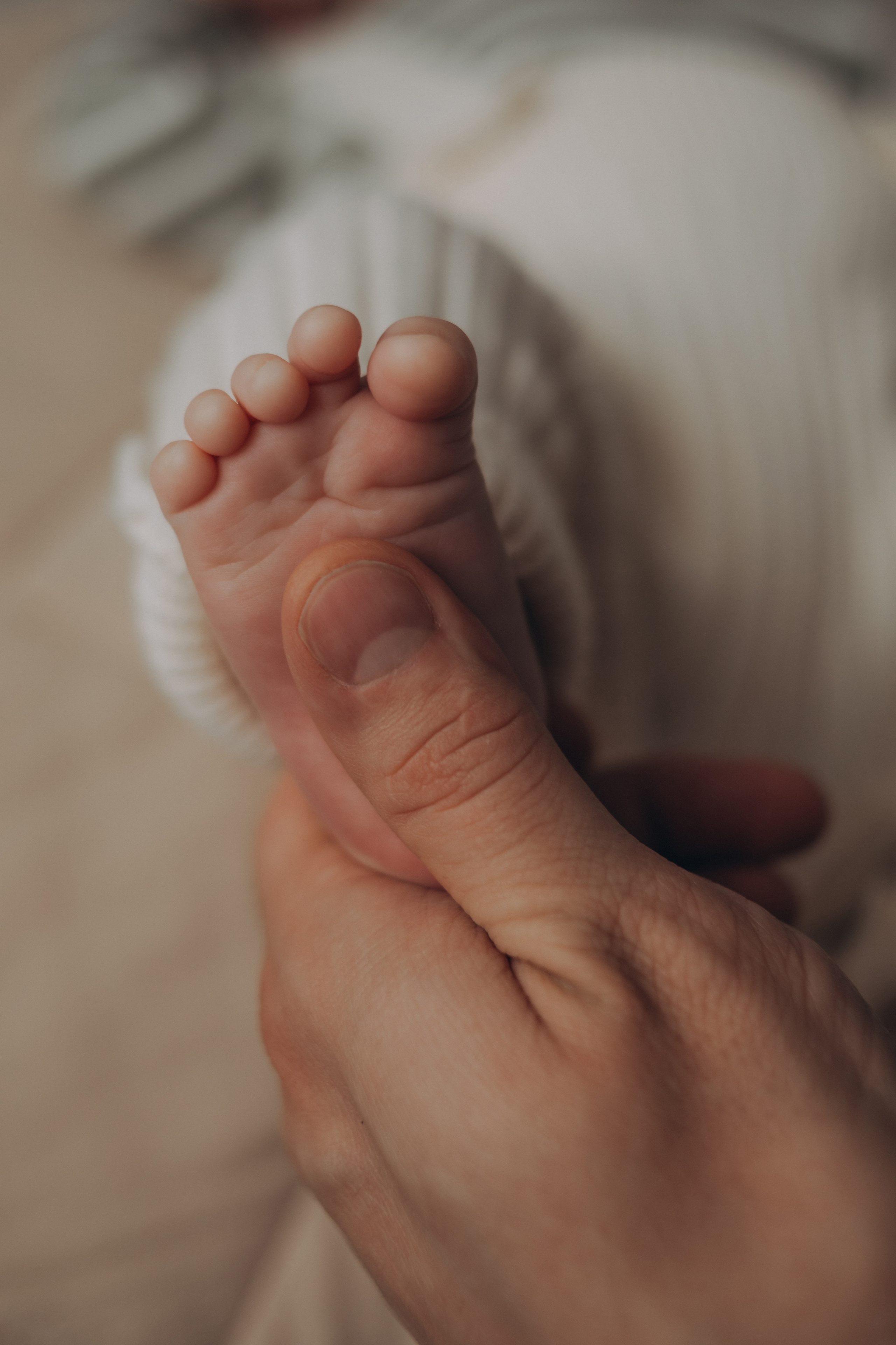 Фотограф новорожденных Томск. Фотограф новорождённых семейный фотограф Томск Елена Каплина