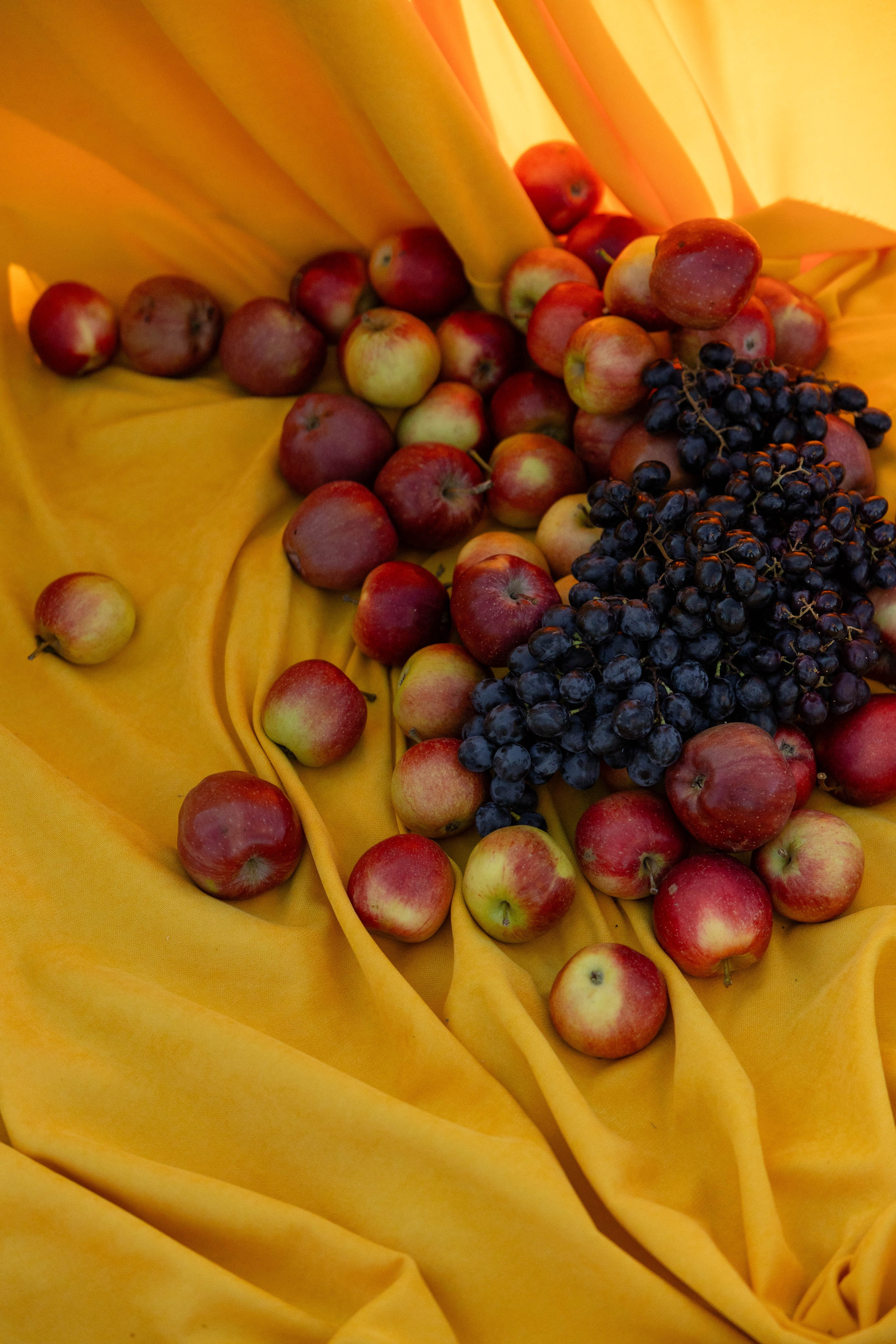 Иван и Лиза. Свадебный и семейный фотограф Евгения Привалова. Новороссийск. Анапа