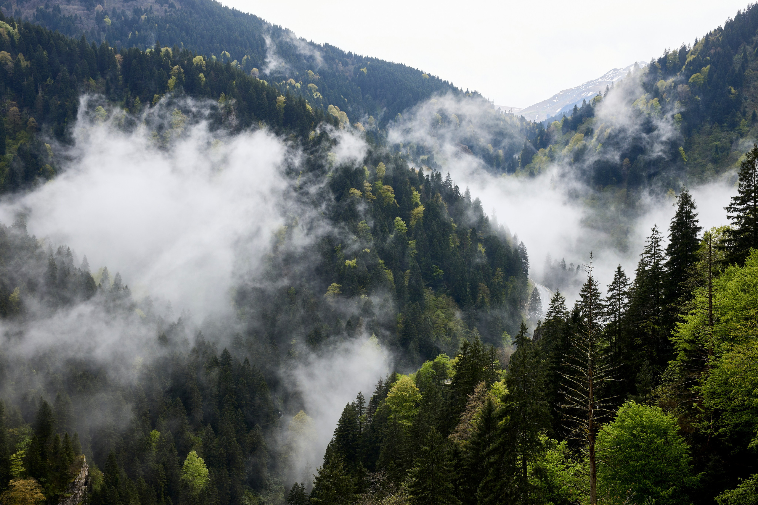 Трабзон — монастырь Сумела. Фото департамент круизного лайнера Астория Гранде
