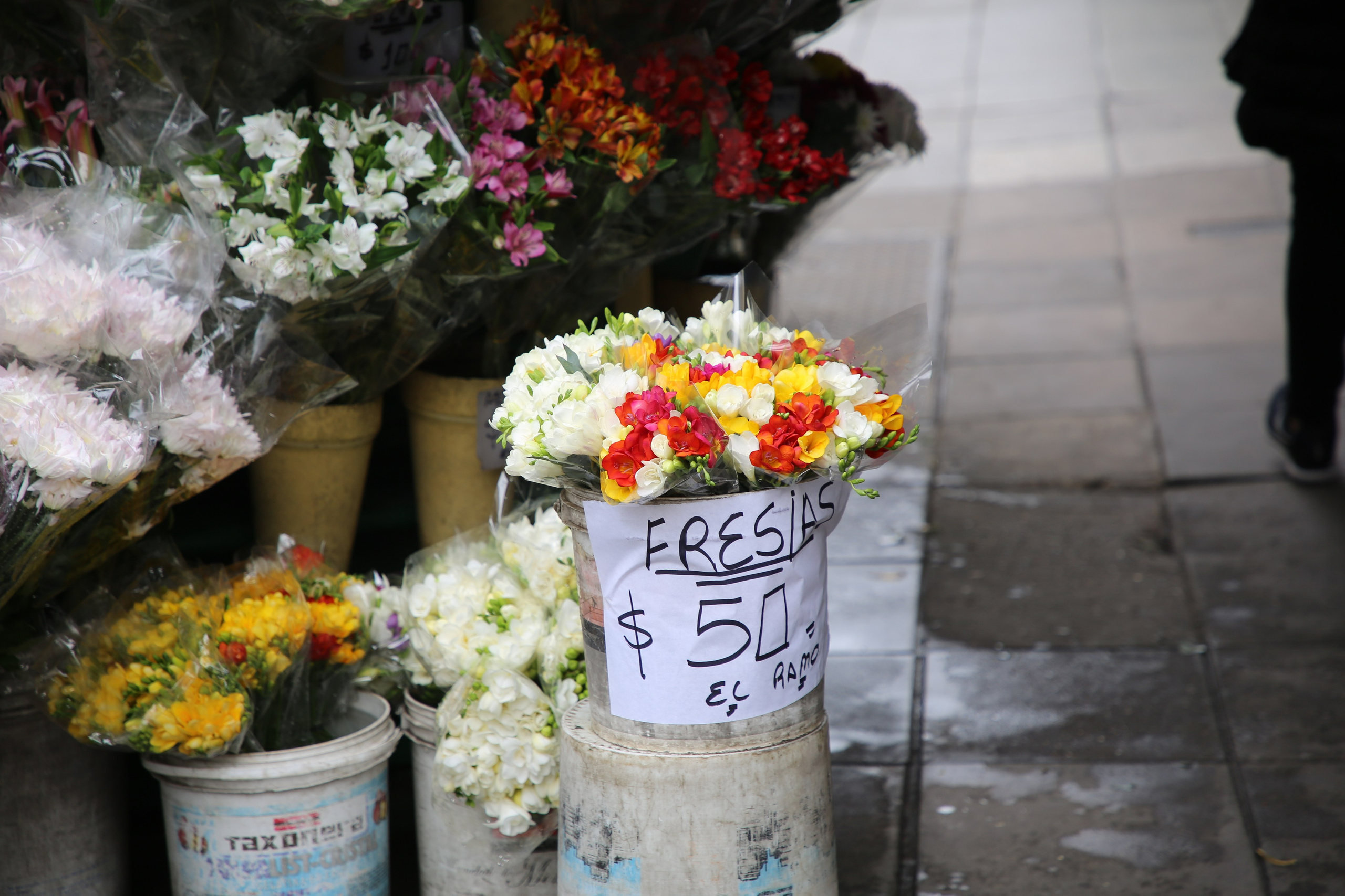 Buenos Aires, Argentina. Andrey Filippov Photographer