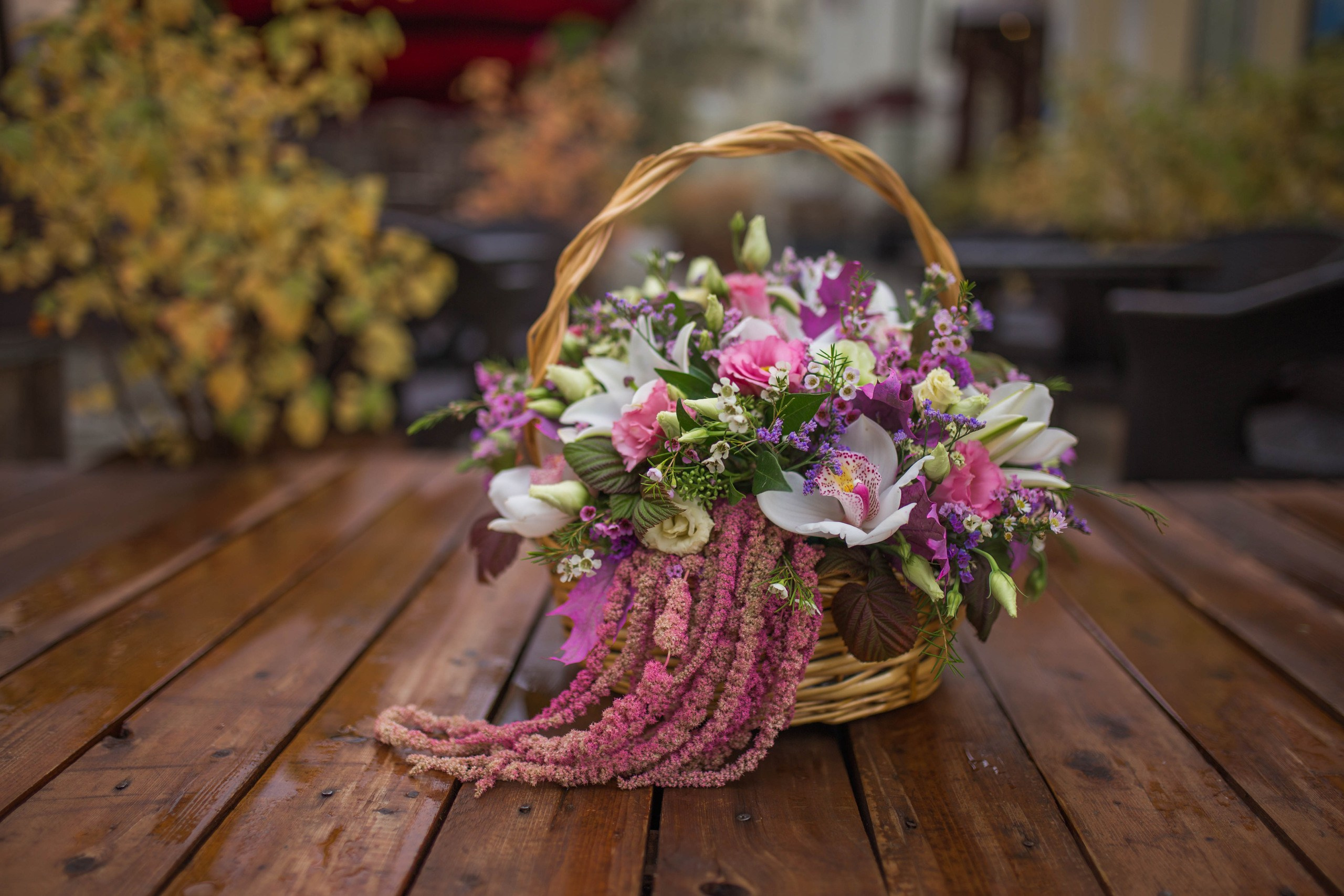 Бренды. Елена Бордо | Фотограф Москва