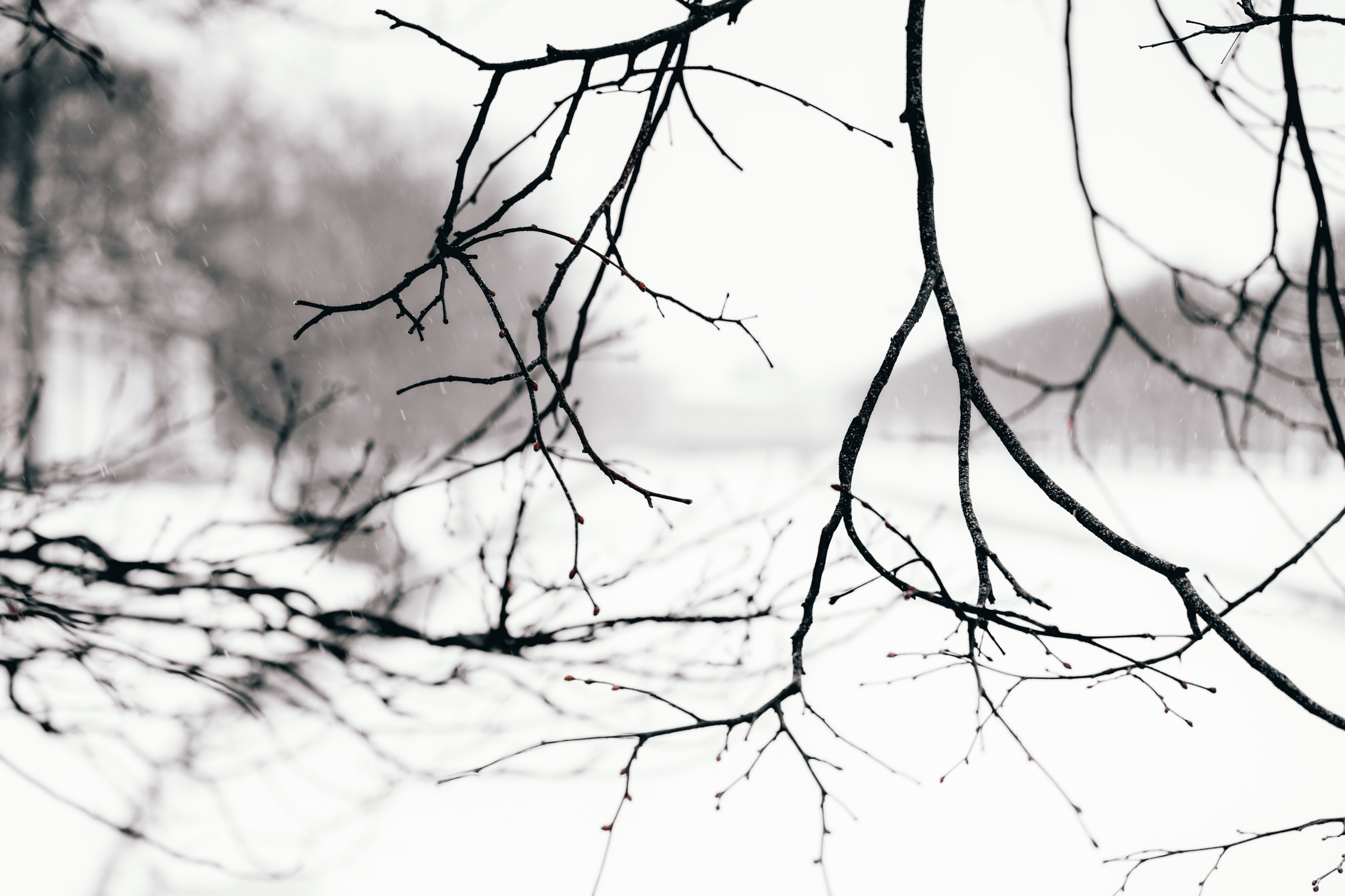 Санкт-Петербург. Репортажный, свадебный и портретный фотограф в Казани | Ринат Миниханов