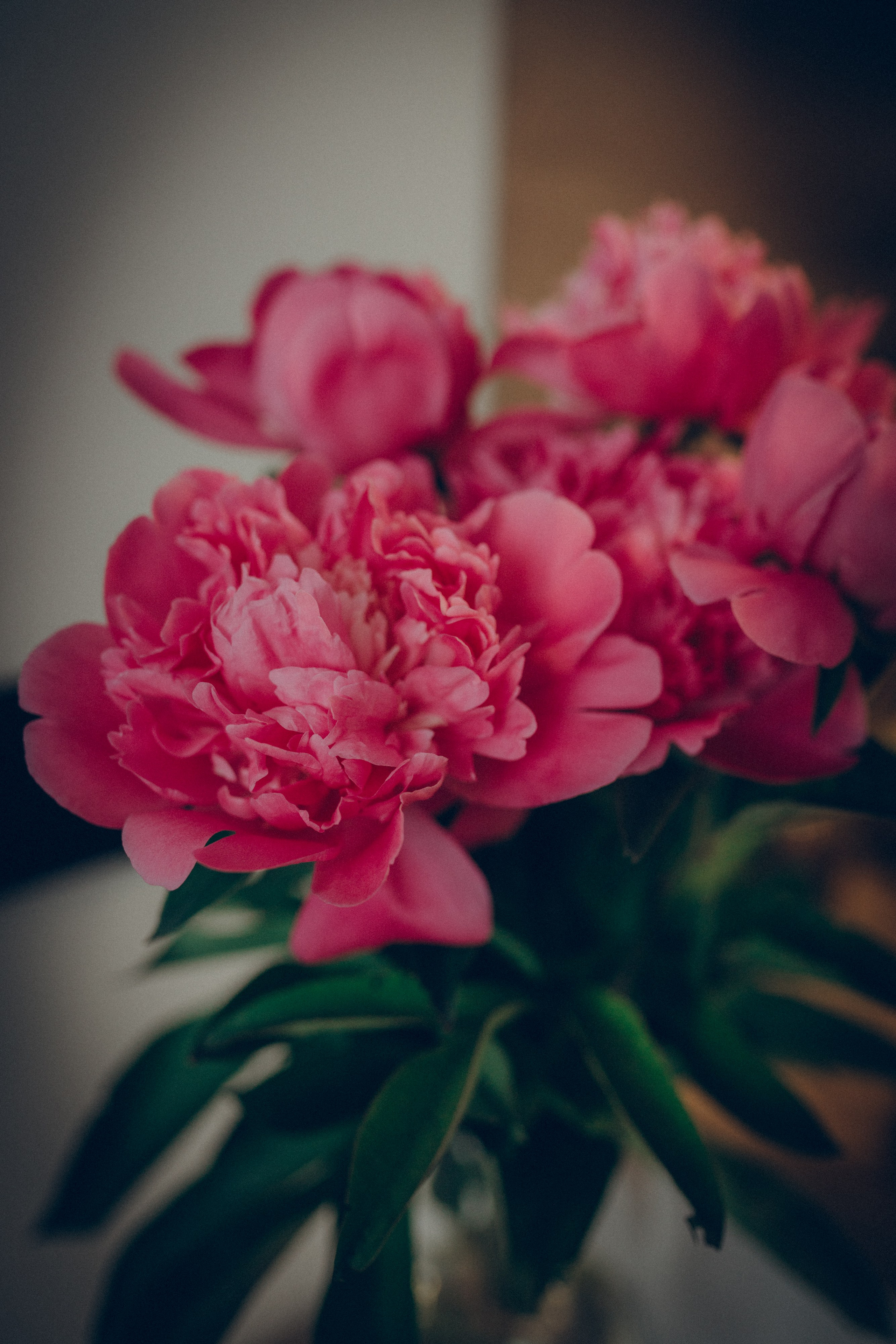 Аня & Кирилл. Семейный фотограф и фотограф на роды в Ростове-на-Дону Мухина Виктория