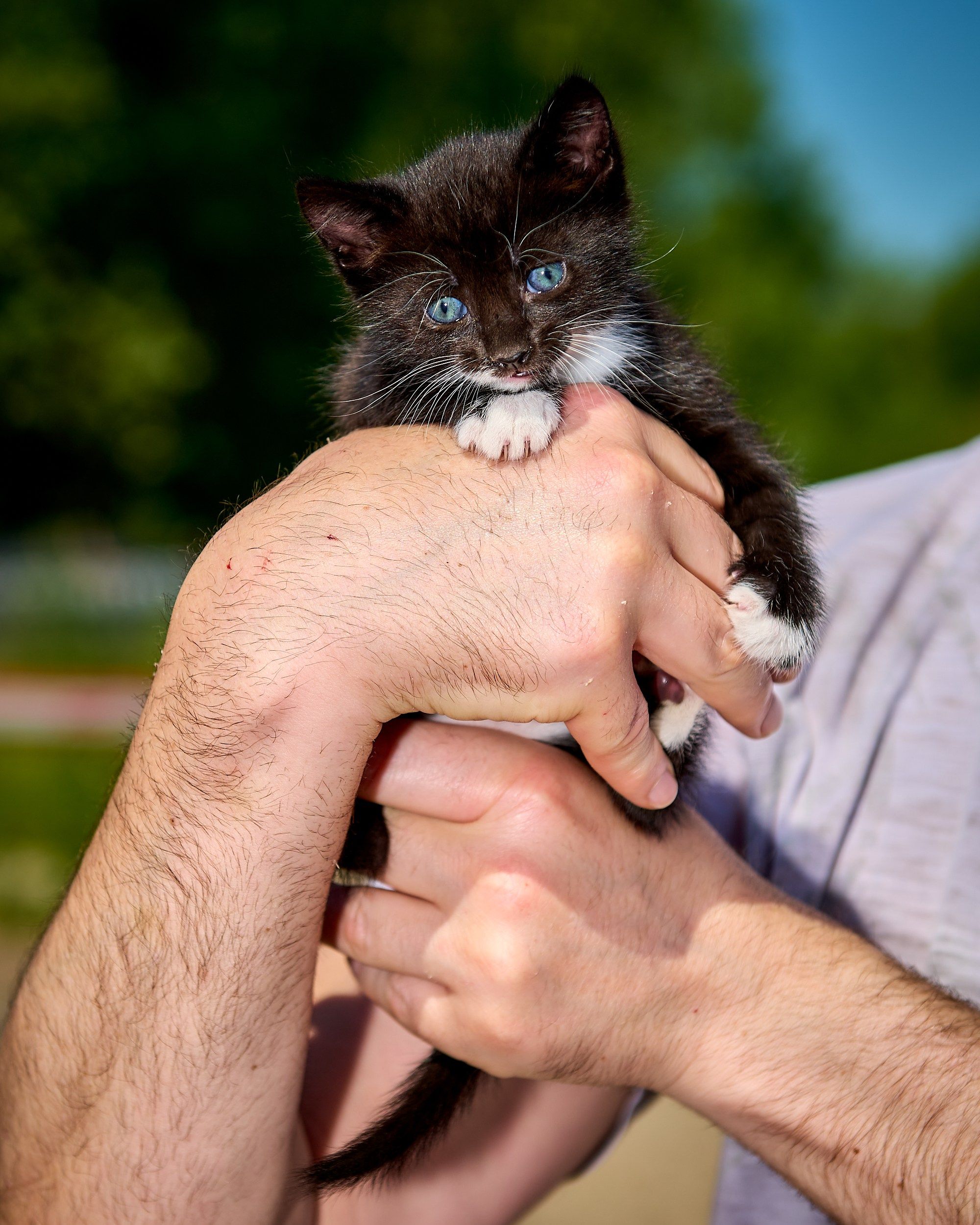 Фотосъемка животных