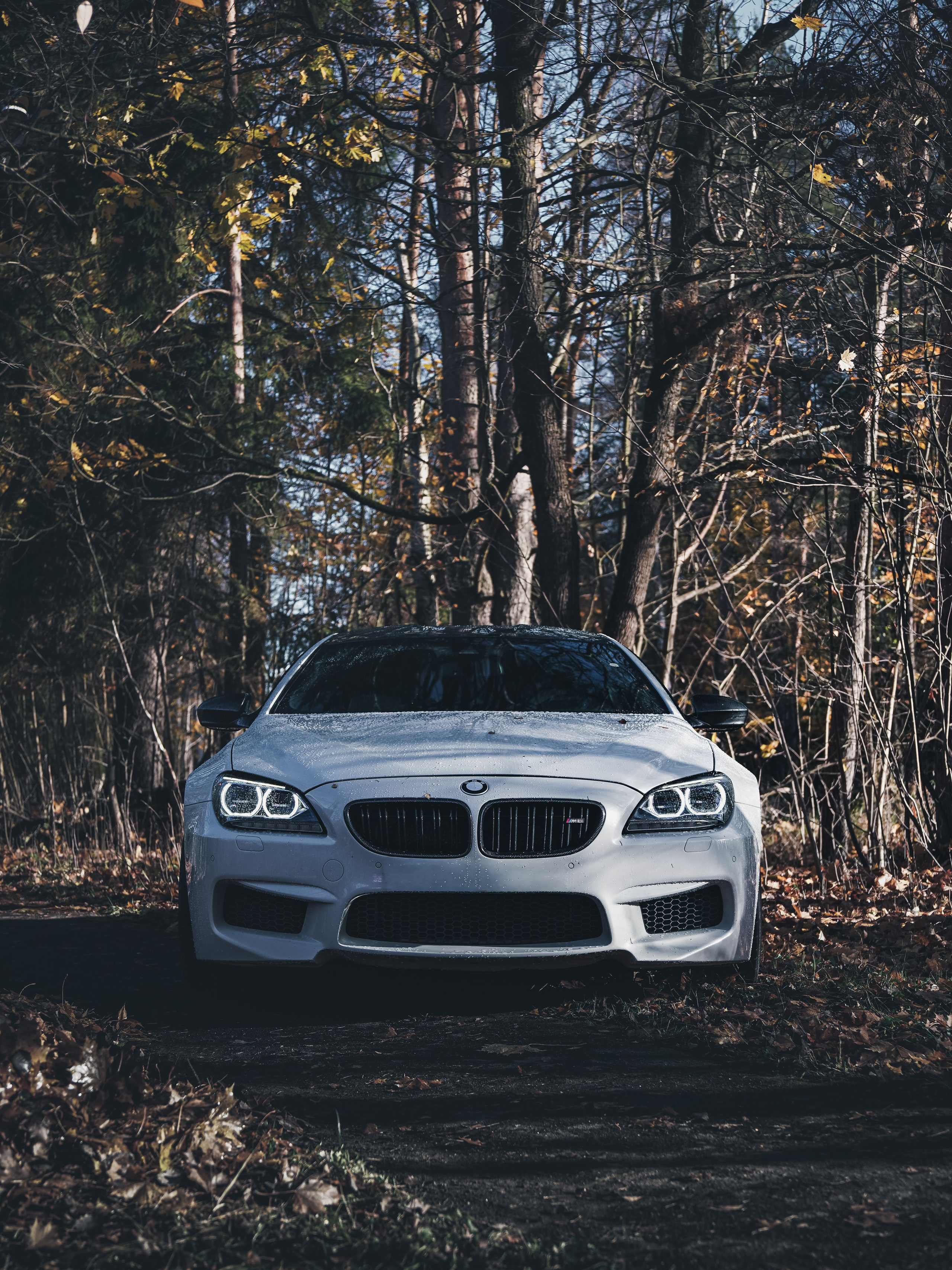 BMW M6 GRAN COUPE. Opasnophoto
