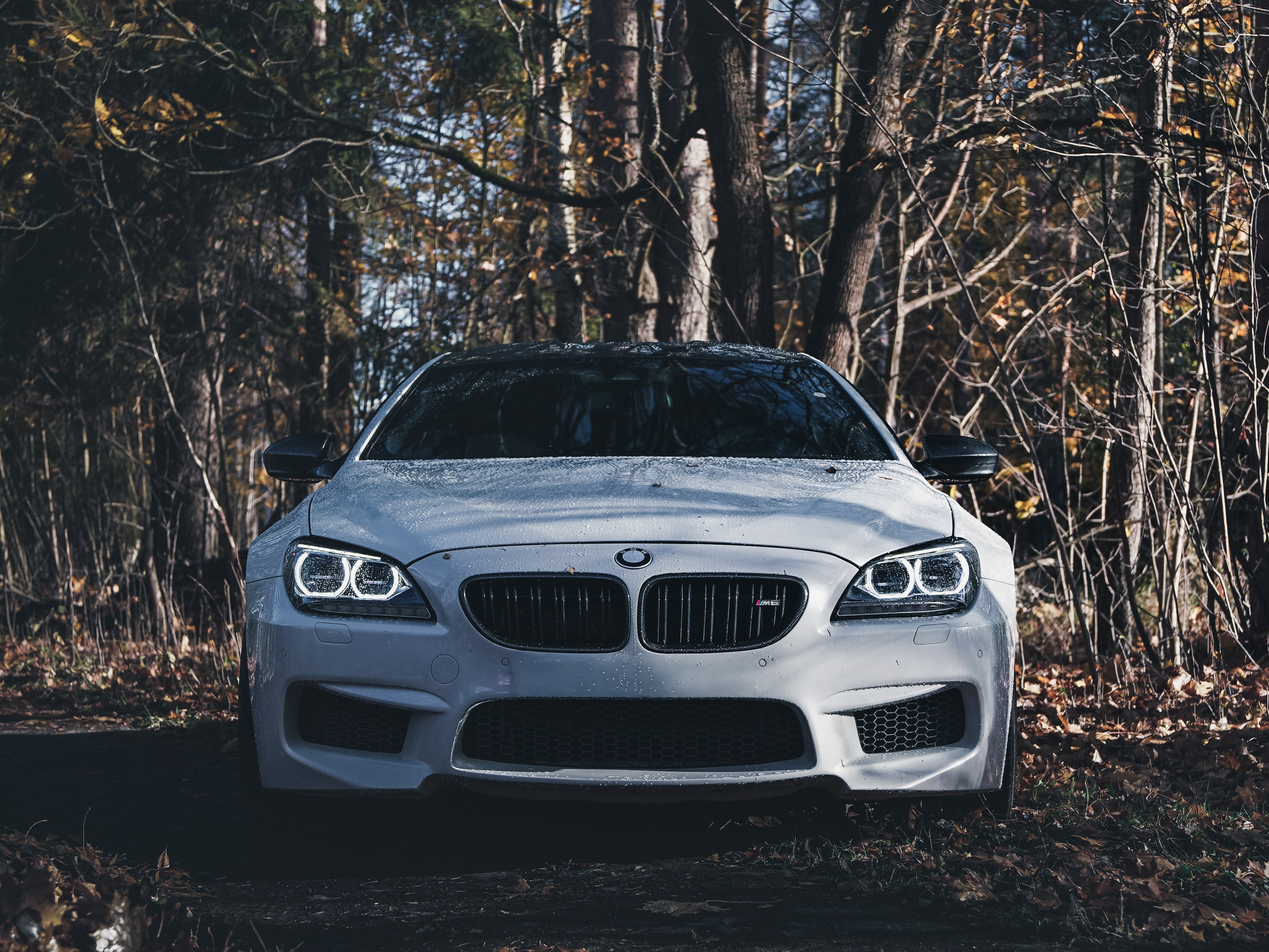 BMW M6 GRAN COUPE. Opasnophoto