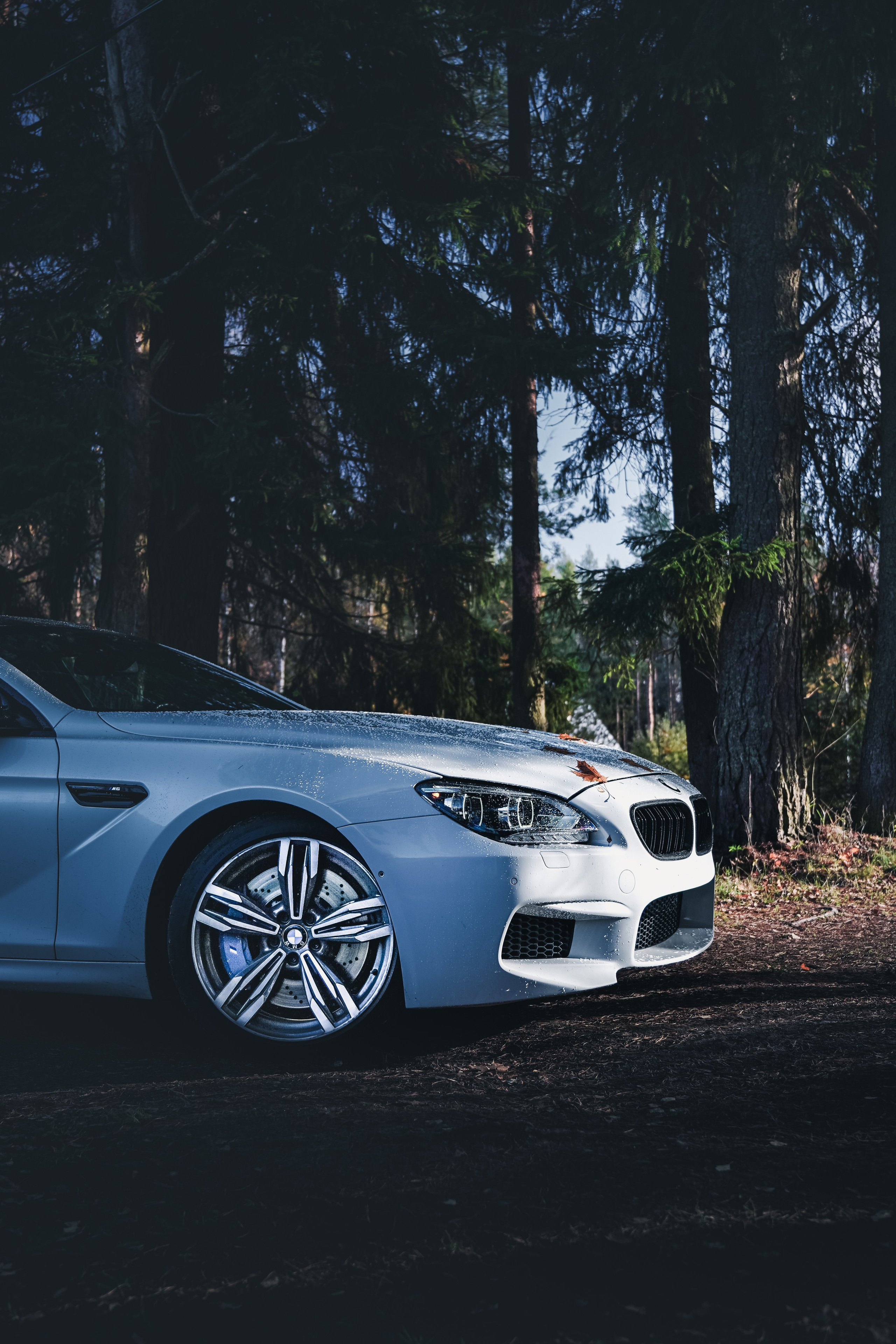 BMW M6 GRAN COUPE. Opasnophoto