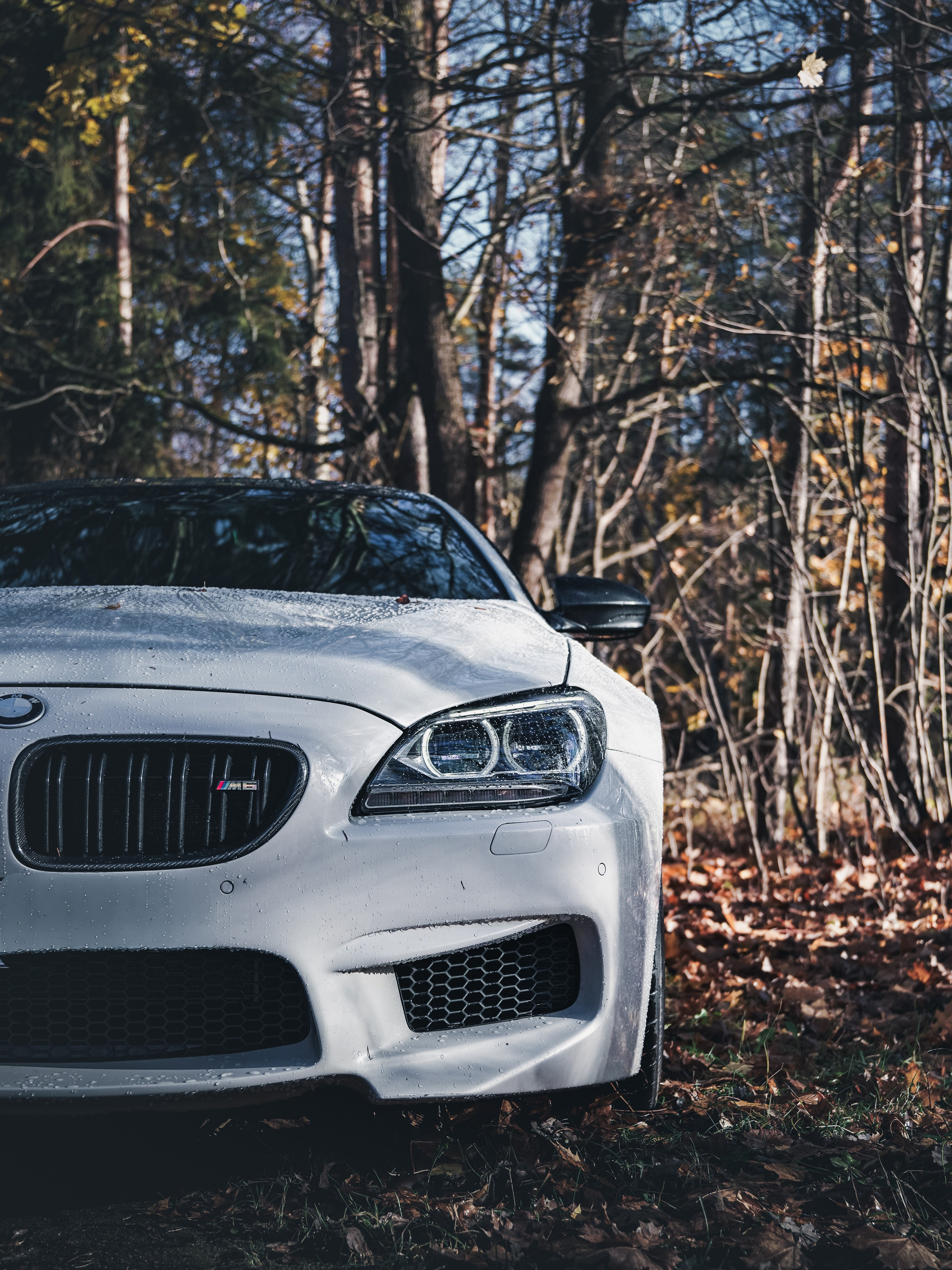 BMW M6 GRAN COUPE. Opasnophoto