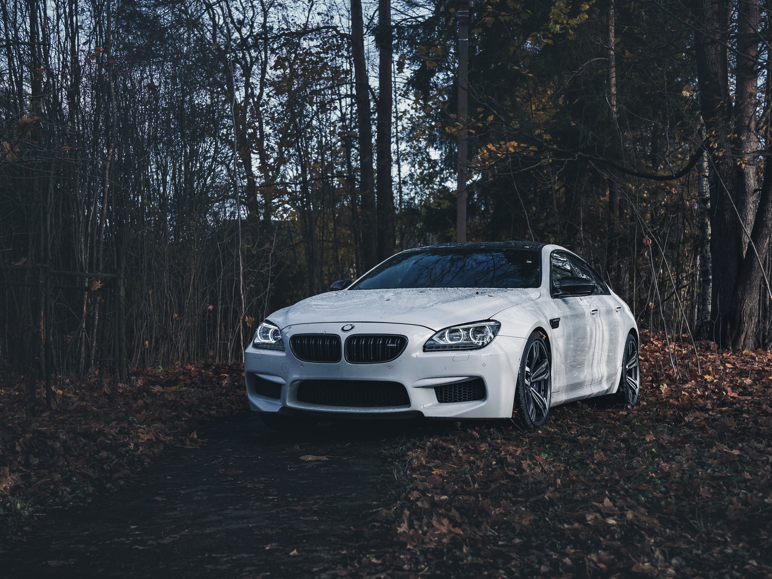 BMW M6 GRAN COUPE. Opasnophoto