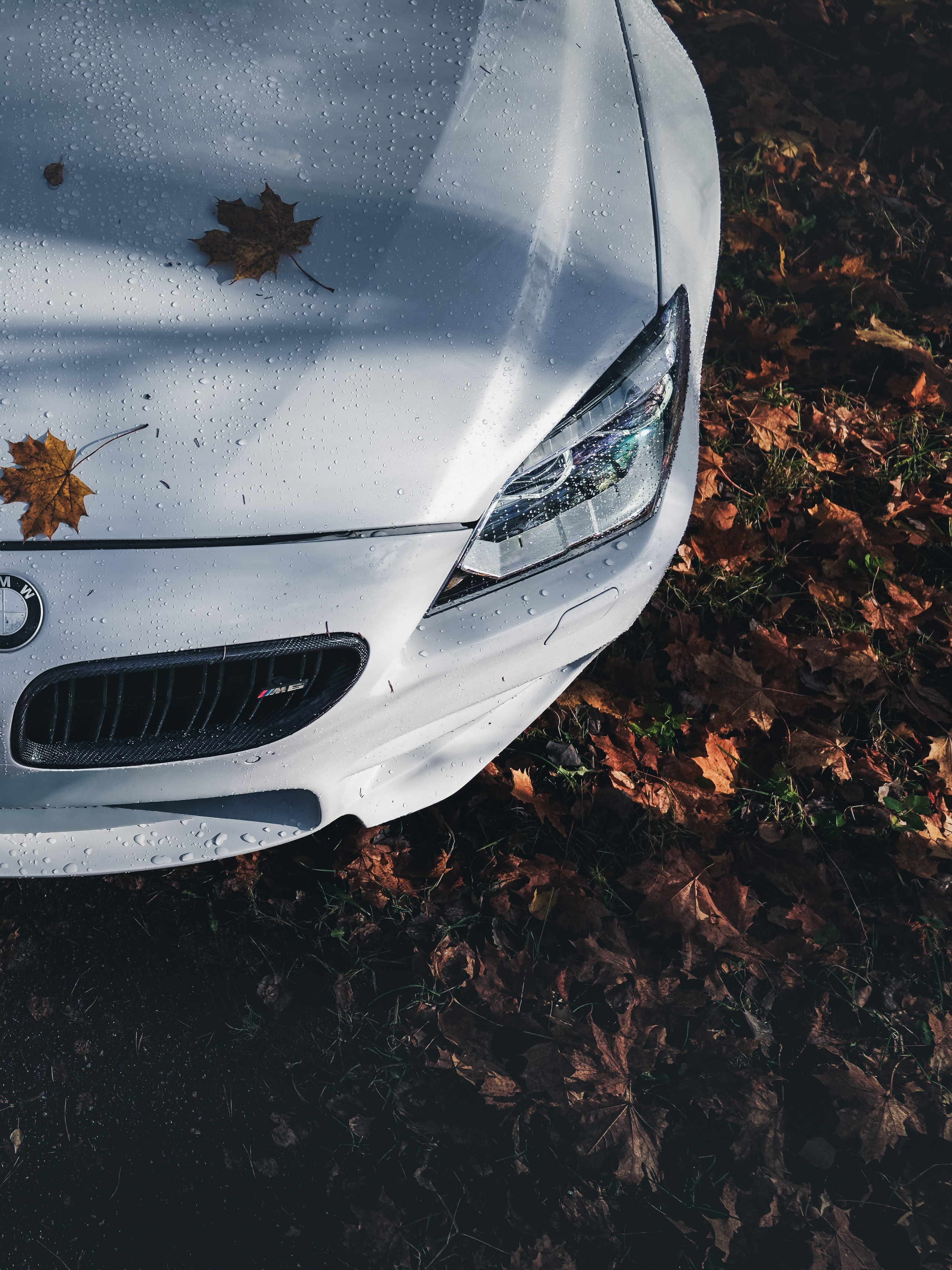 BMW M6 GRAN COUPE. Opasnophoto